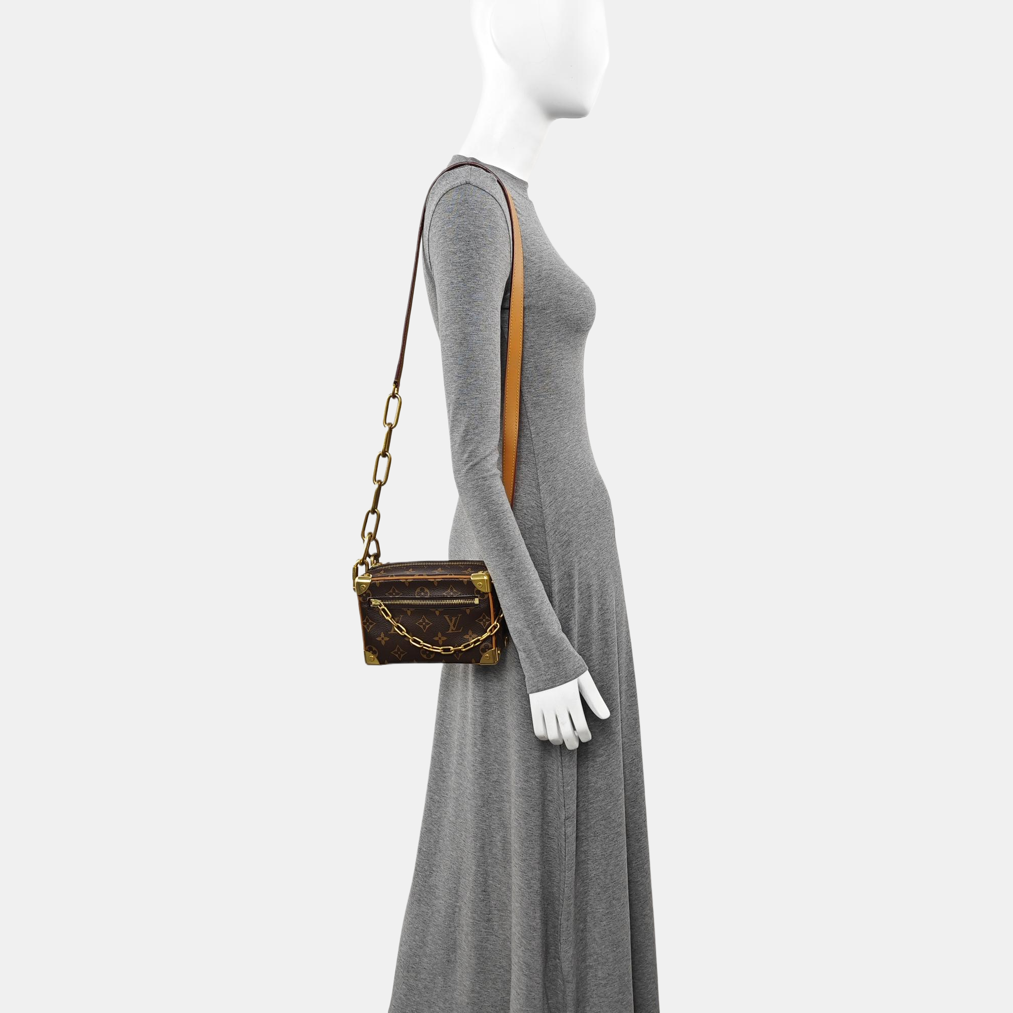 SOFT TRUNK Mini Monogram Coated Canvas Brown