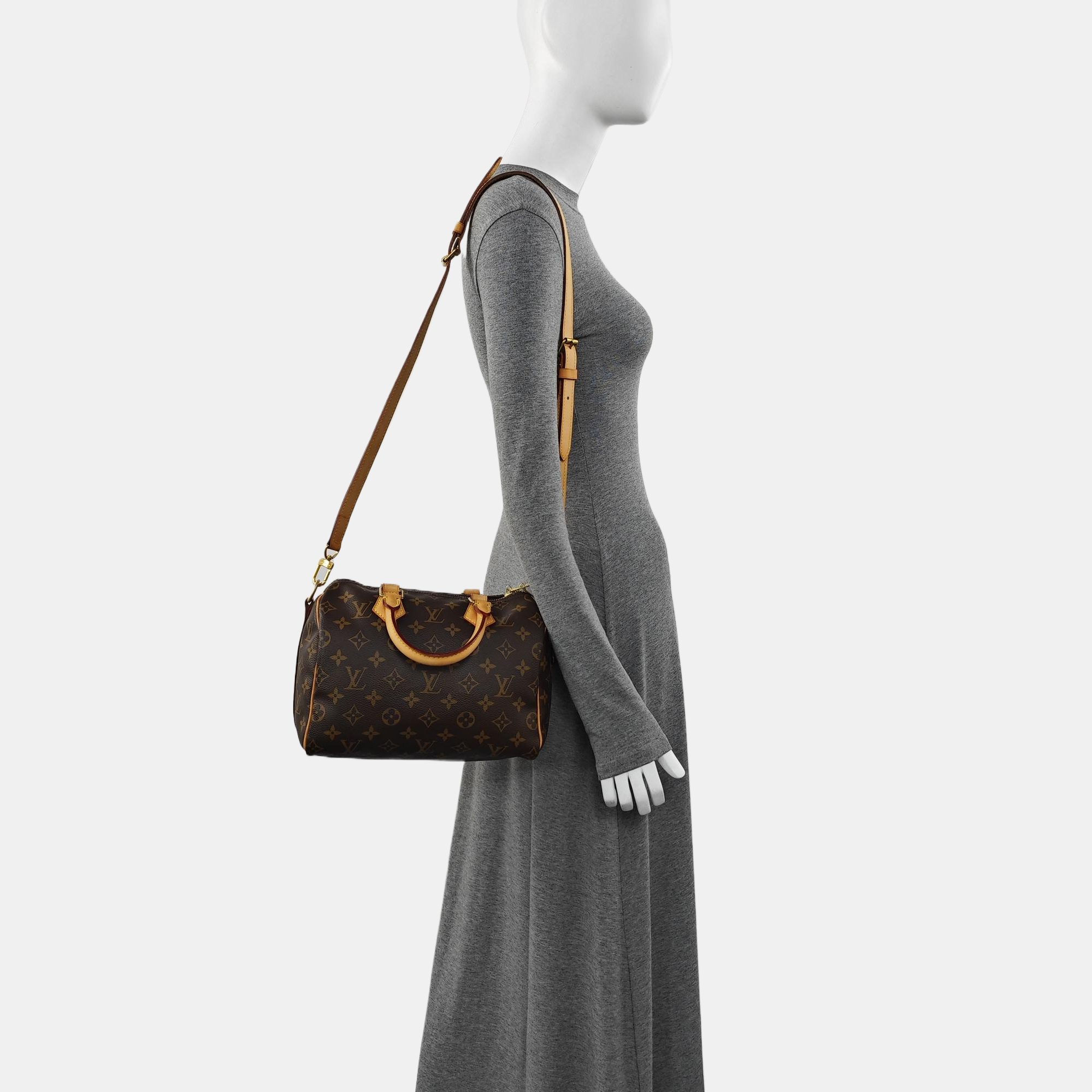 SPEEDY 25 Monogram Coated Canvas Brown