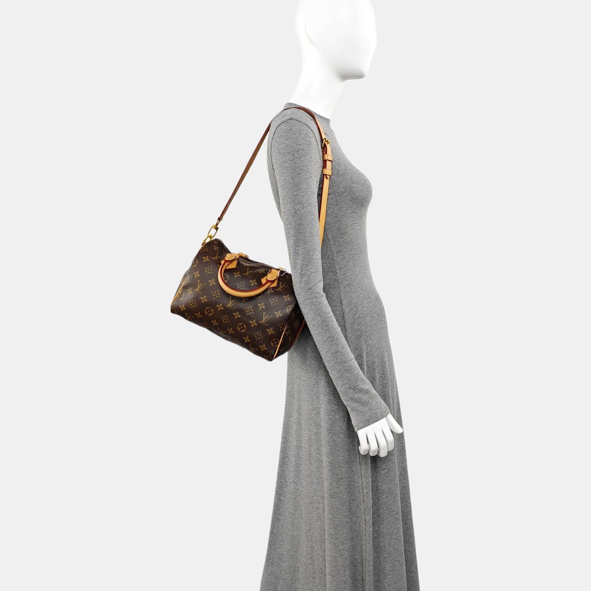 SPEEDY 25 Monogram Coated Canvas Brown