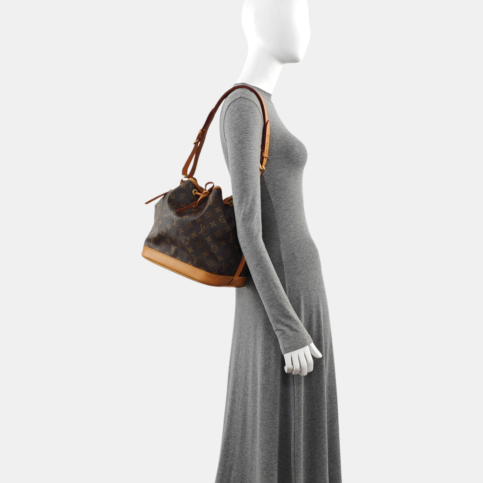 NÉONOÉ PM Monogram Coated Canvas Brown