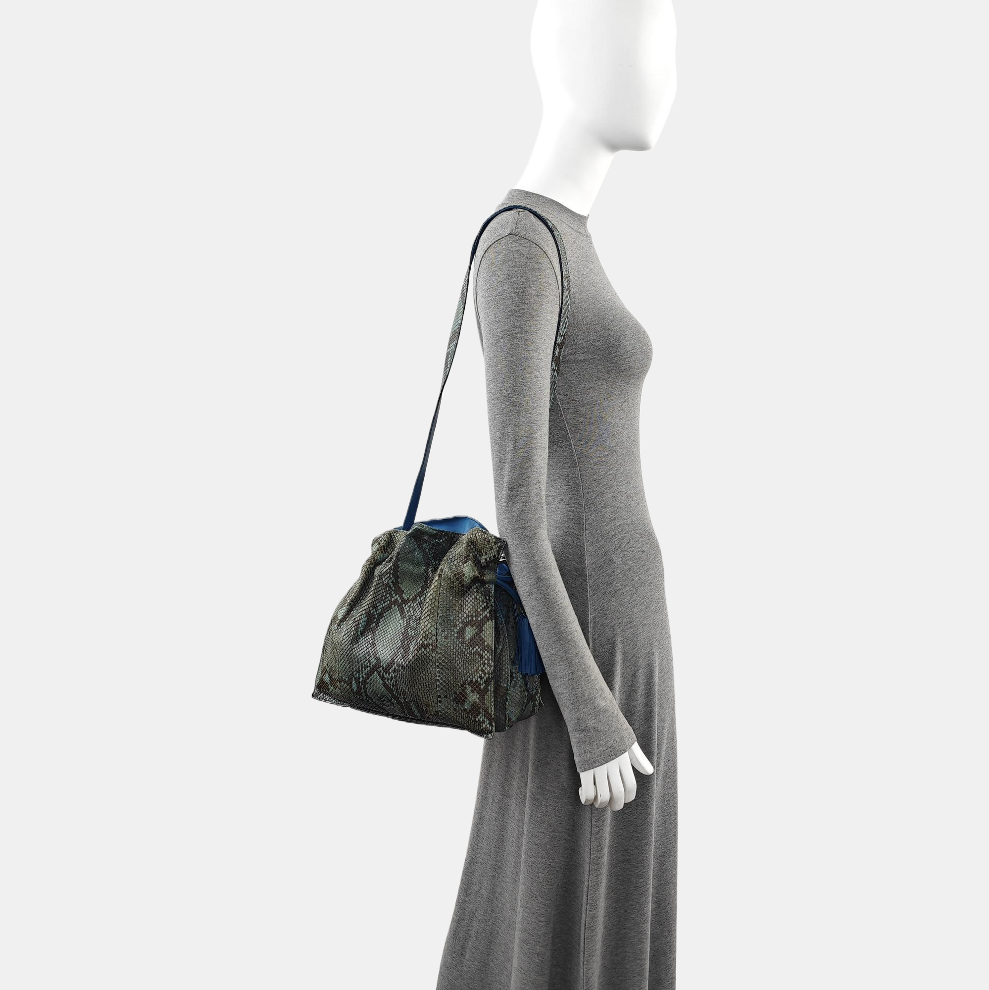 Flamenco Python Blue