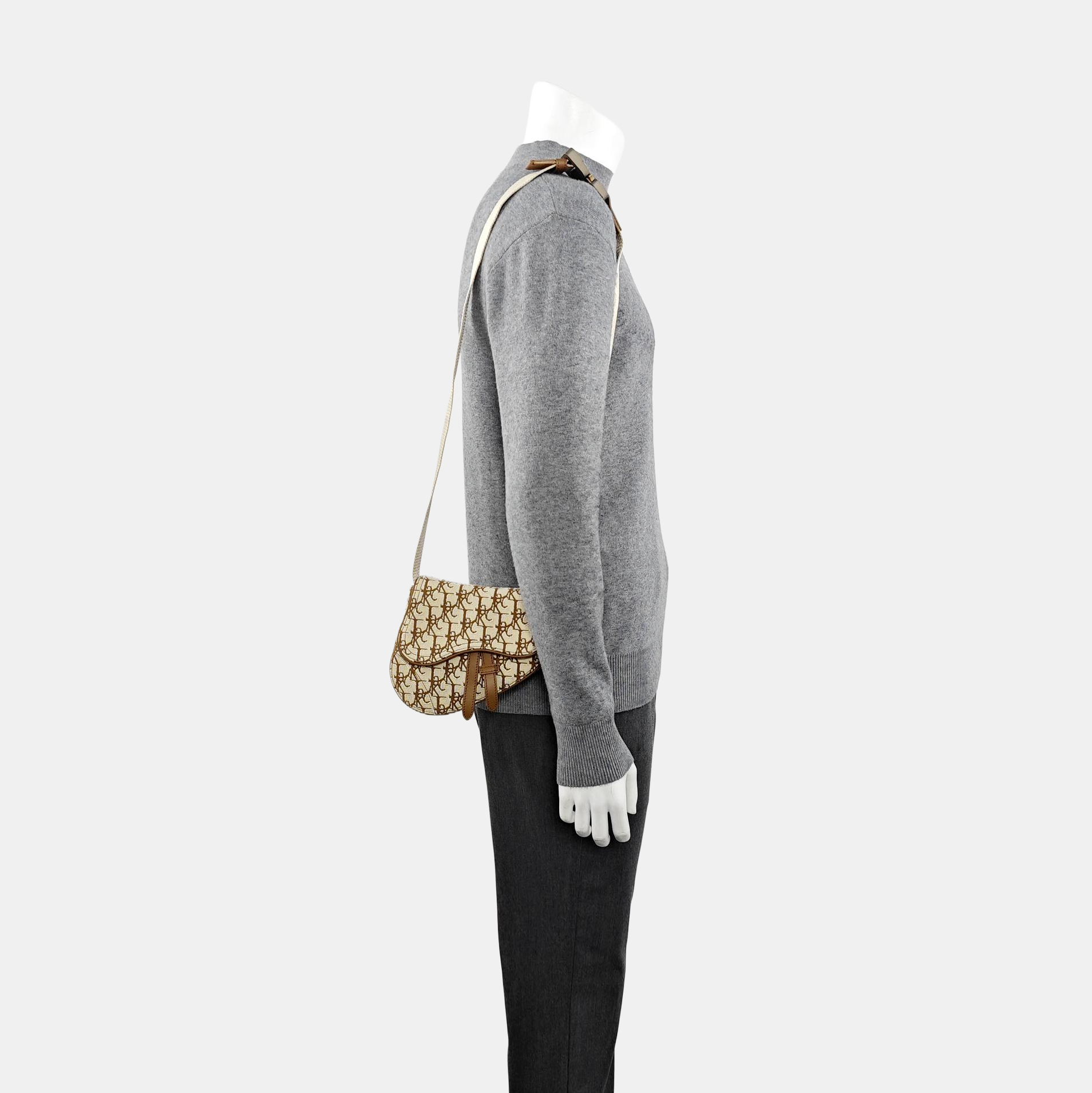 Saddle Mini Oblique Canvas Beige