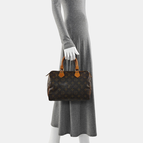 SPEEDY 25 Monogram Coated Canvas Brown