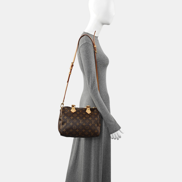 SPEEDY 25 Monogram Coated Canvas Brown