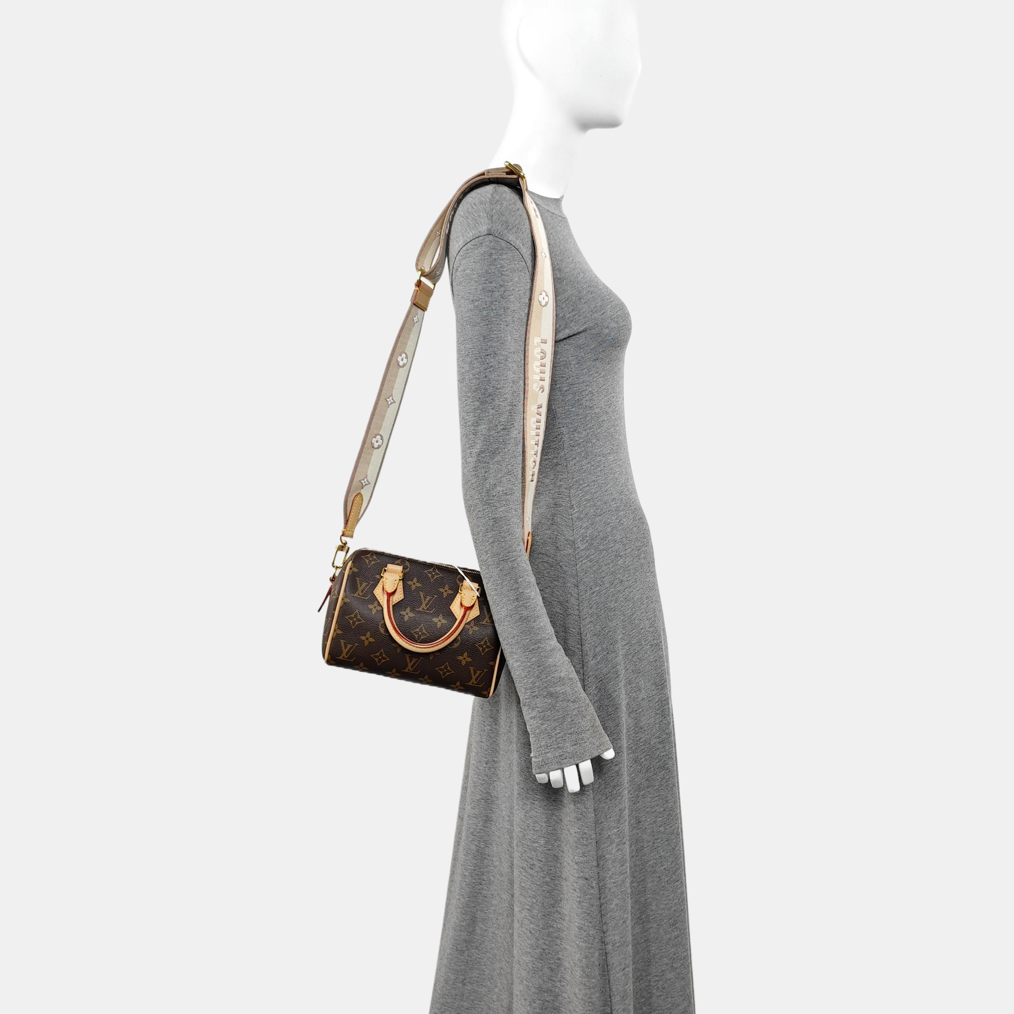 SPEEDY 20 Monogram Coated Canvas Brown