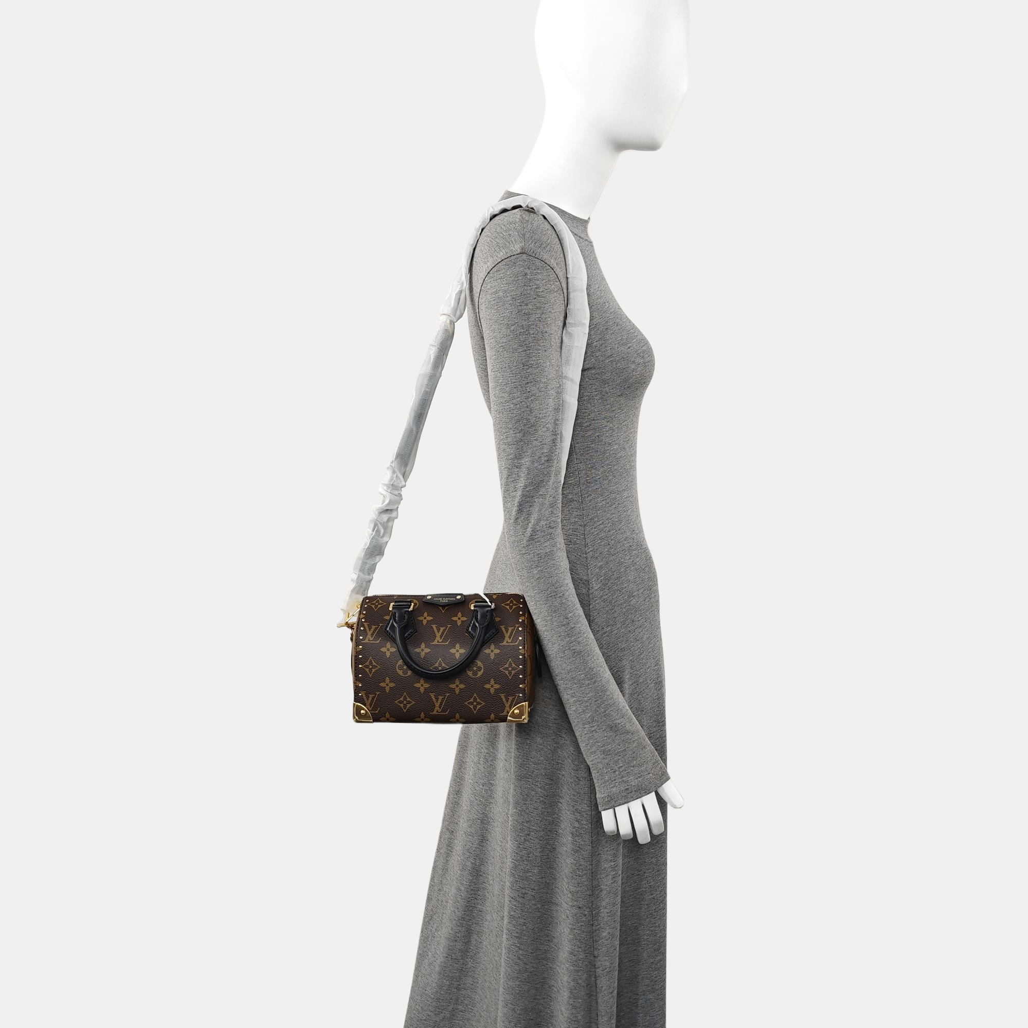 SPEEDY TRUNK 20 Monogram Coated Canvas Brown