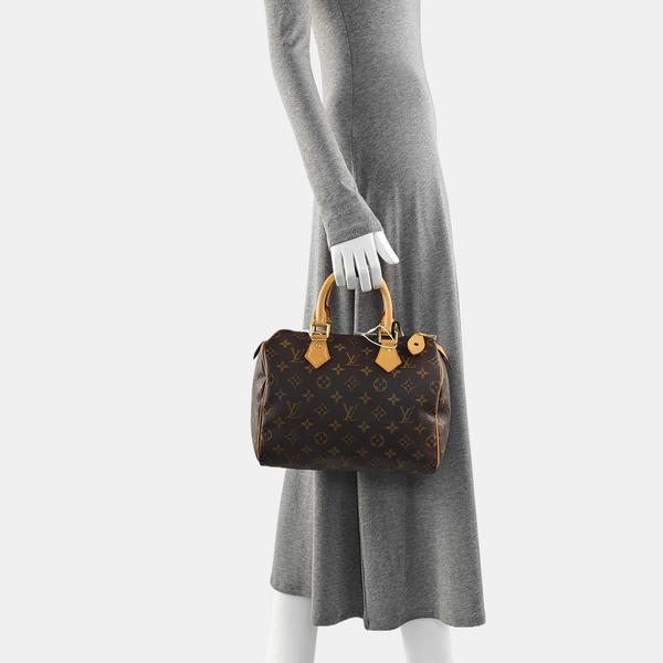 SPEEDY 25 Monogram Coated Canvas Brown