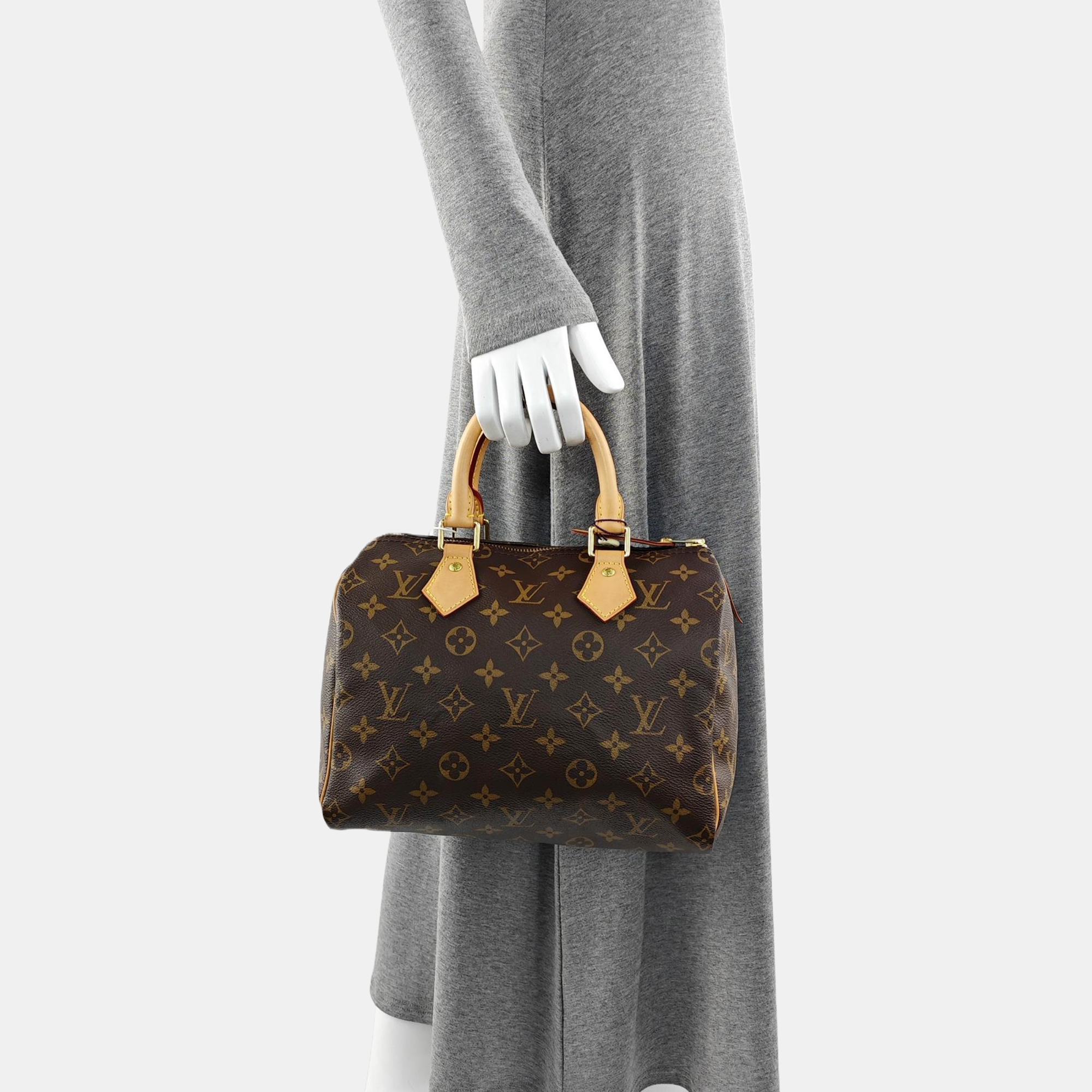 SPEEDY 25 Monogram Coated Canvas Brown