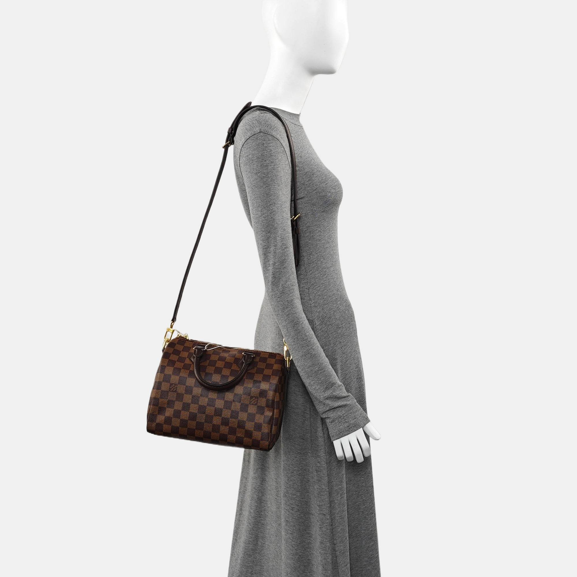 SPEEDY 25 Damier Ebene Coated Canvas Brown