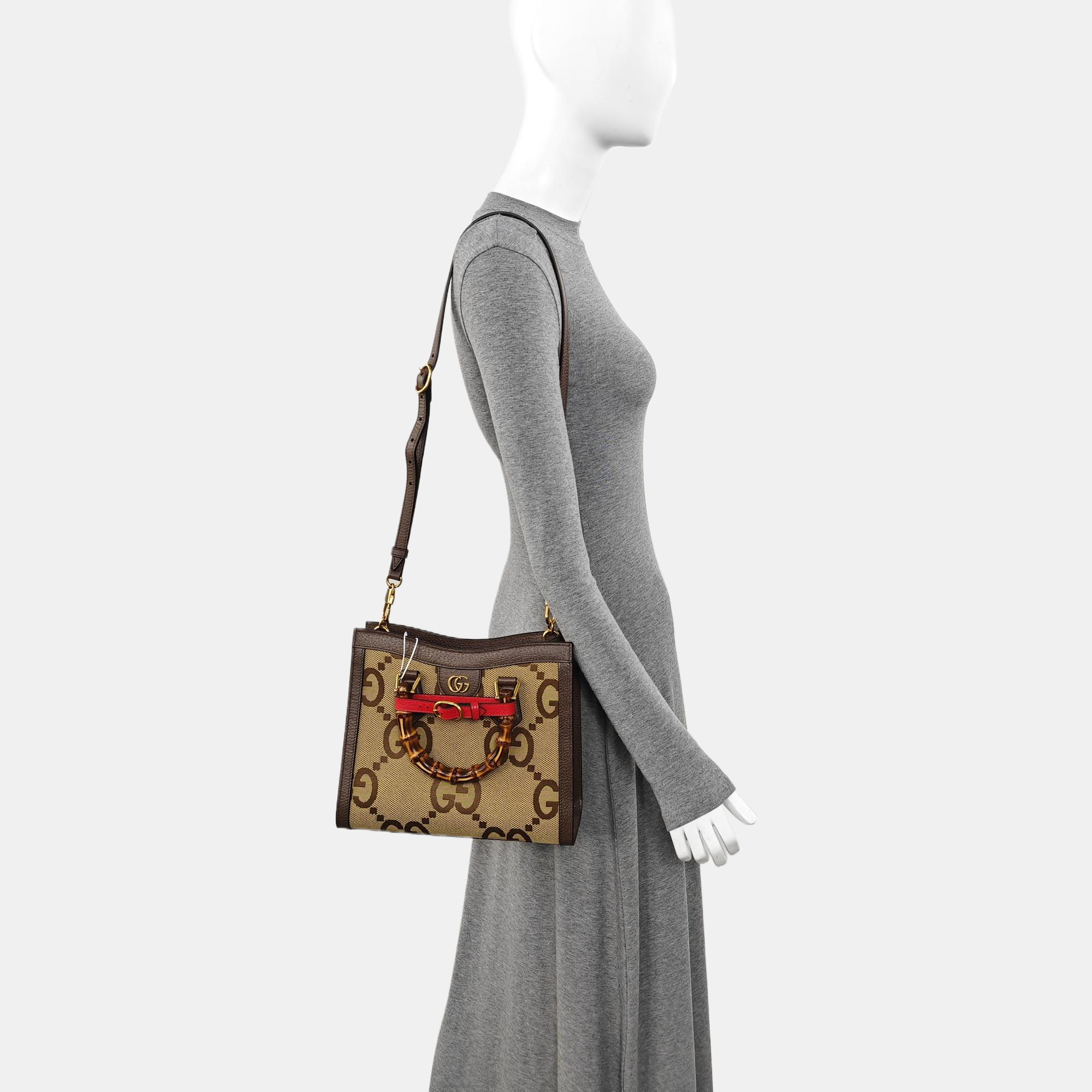 Diana Small Canvas Beige