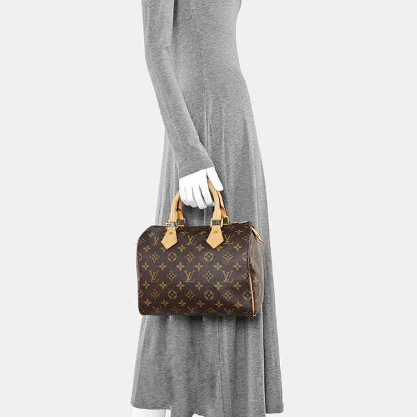 SPEEDY 25 Monogram Coated Canvas Brown