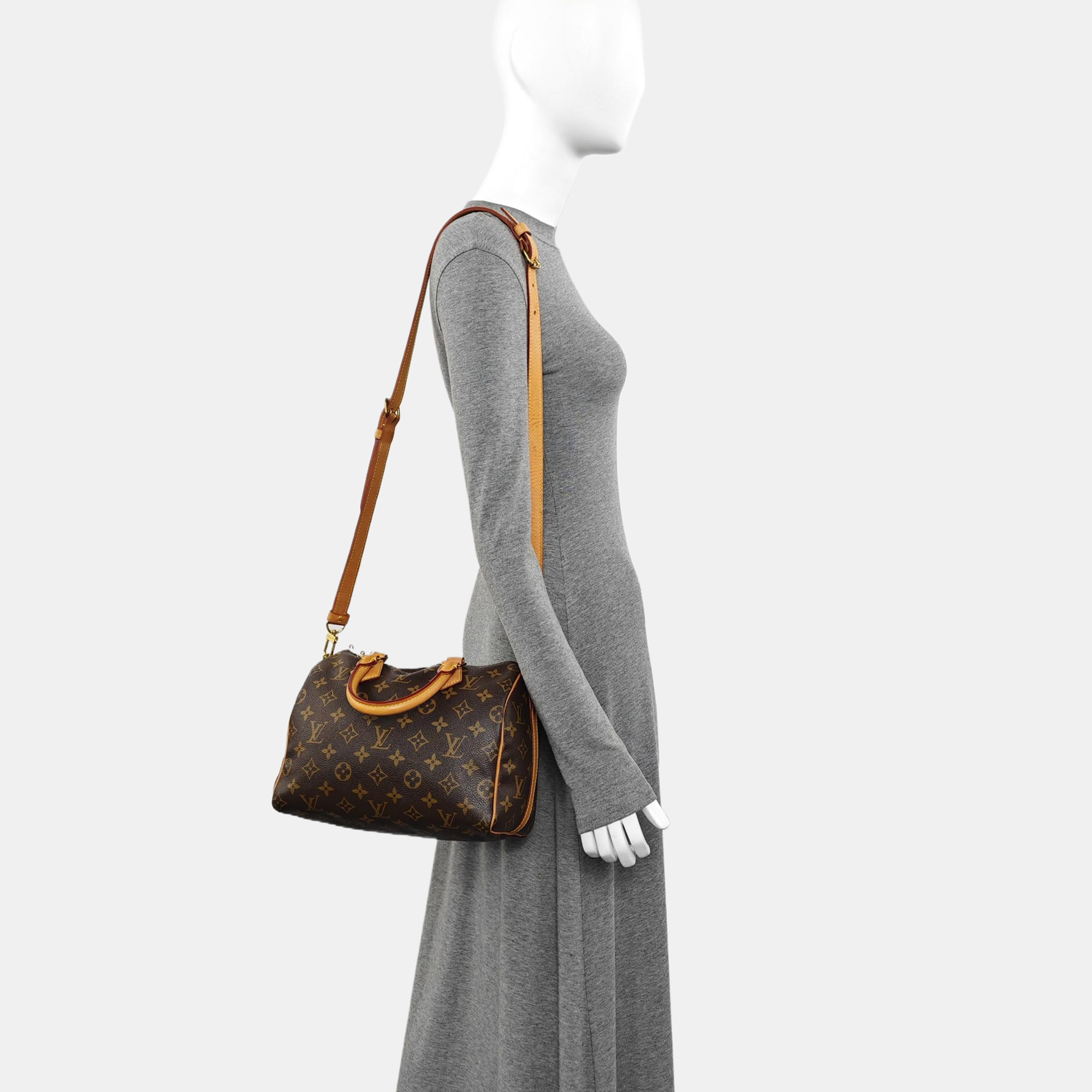 SPEEDY 25 Monogram Coated Canvas Brown