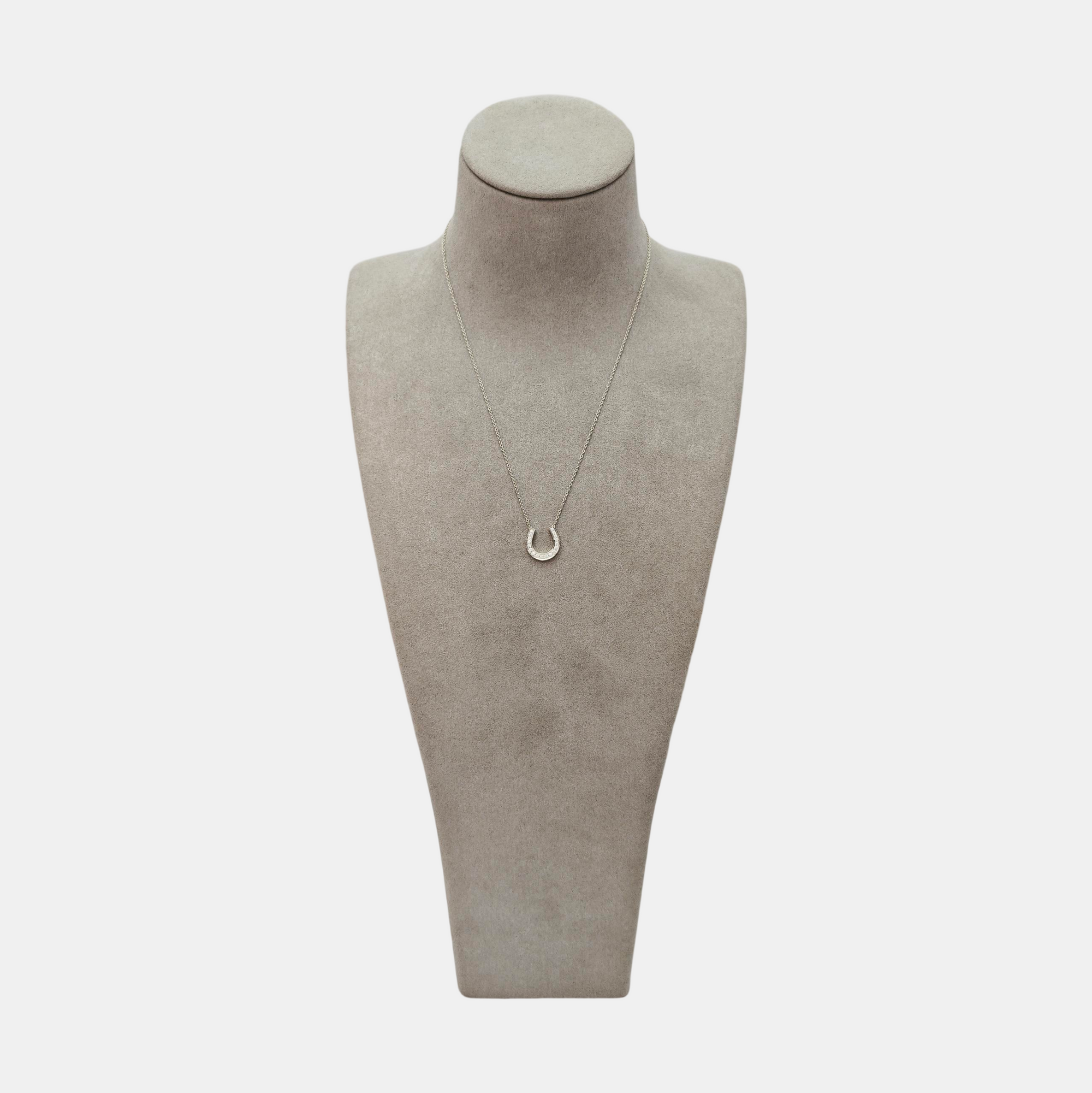 Tiffany Metro Platinum 950 Silver Necklace