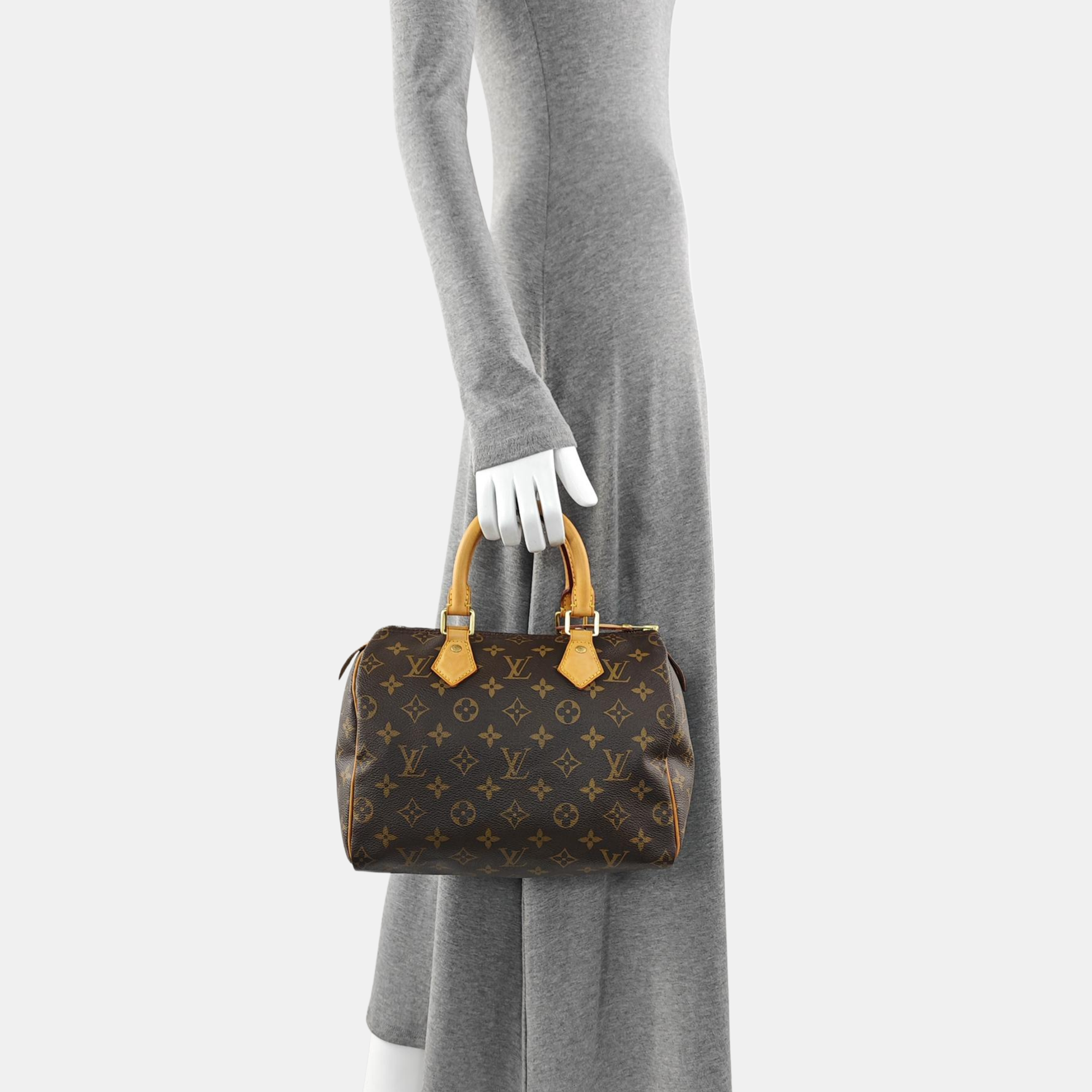 SPEEDY 25 Monogram Coated Canvas Brown