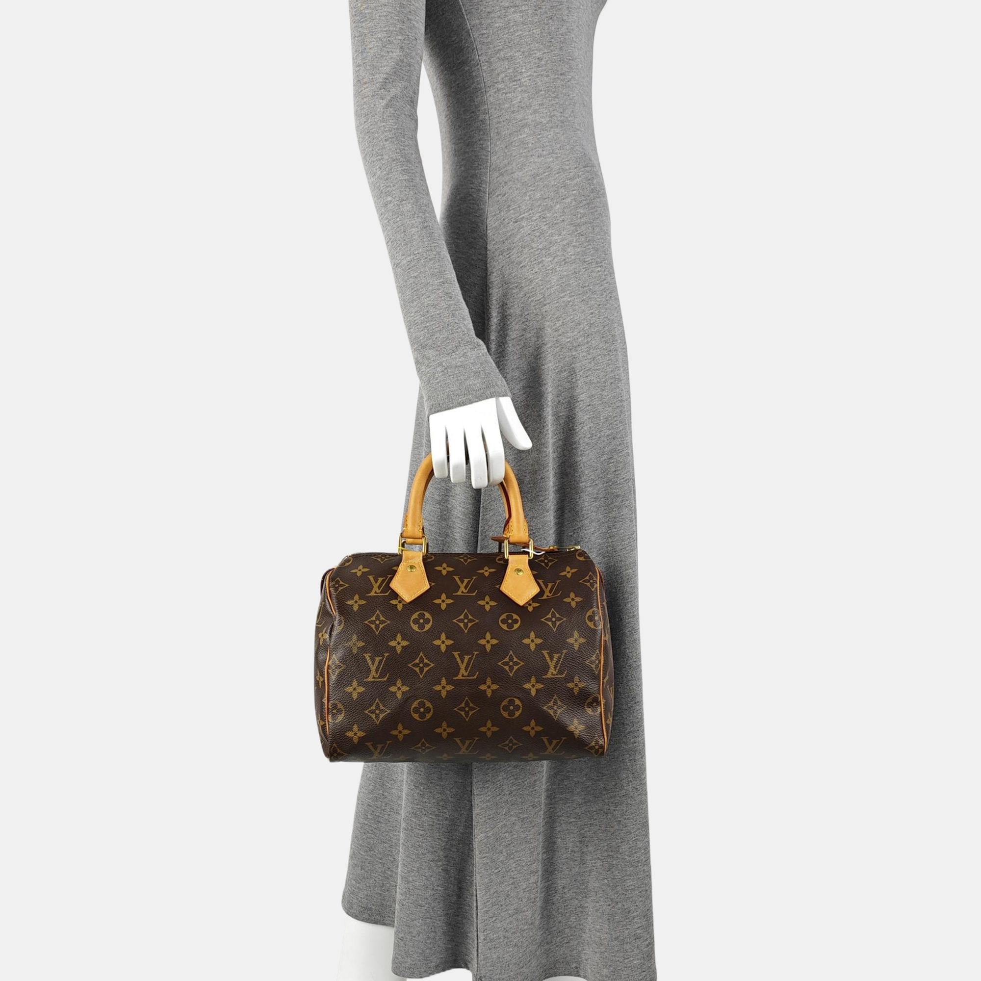 SPEEDY 25 Monogram Coated Canvas Brown