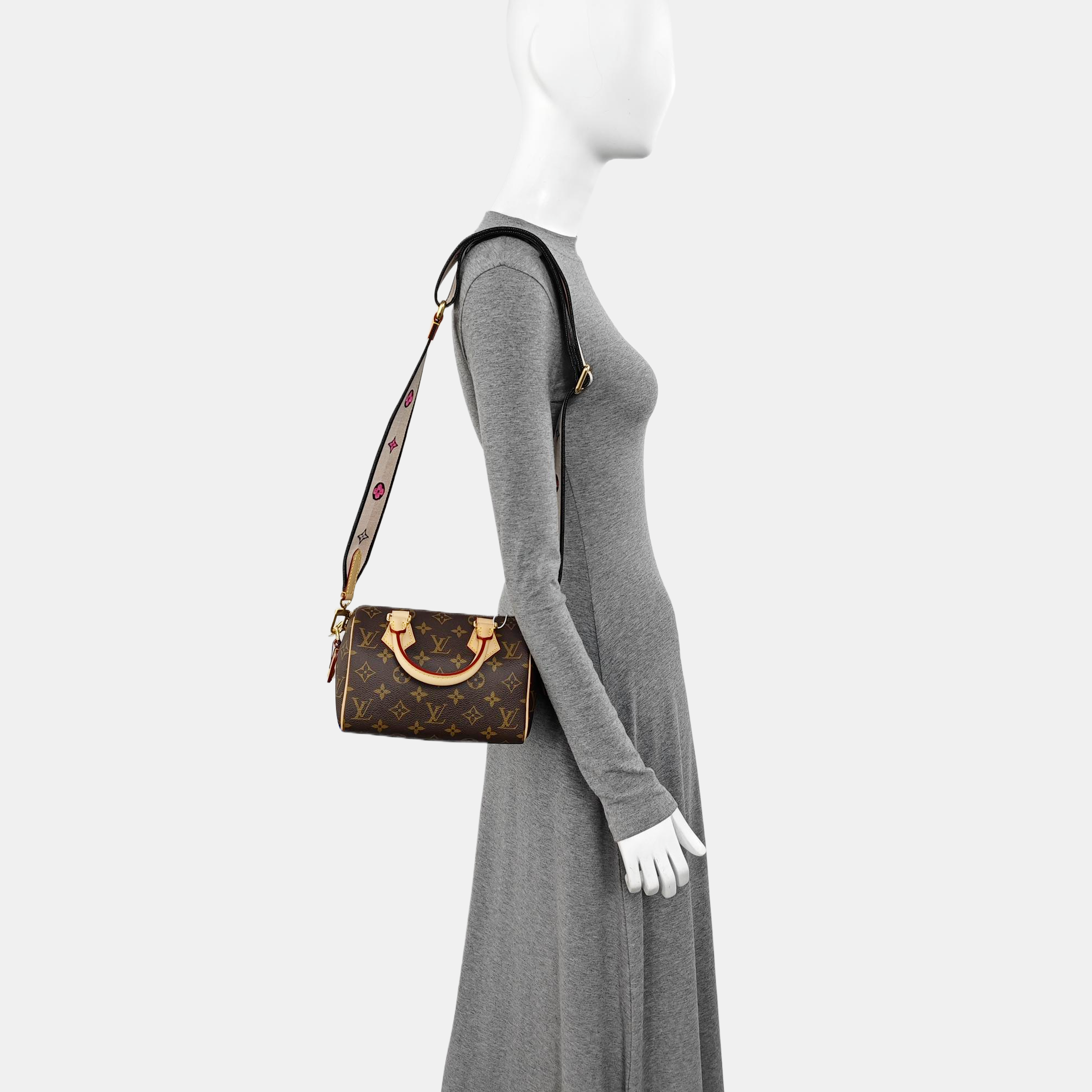 SPEEDY 20 Monogram Coated Canvas Brown