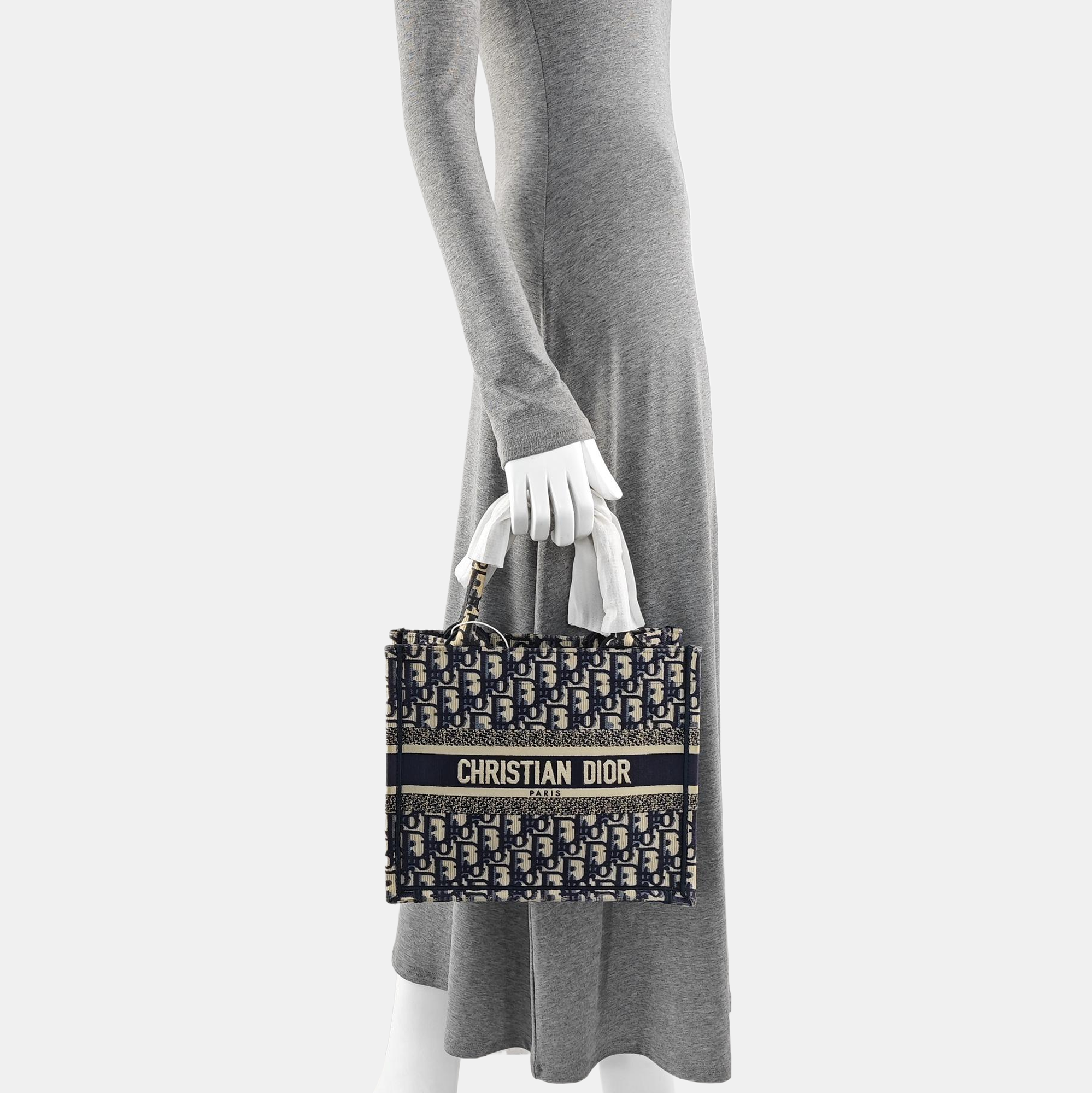 Book Tote Small Oblique Canvas Blue