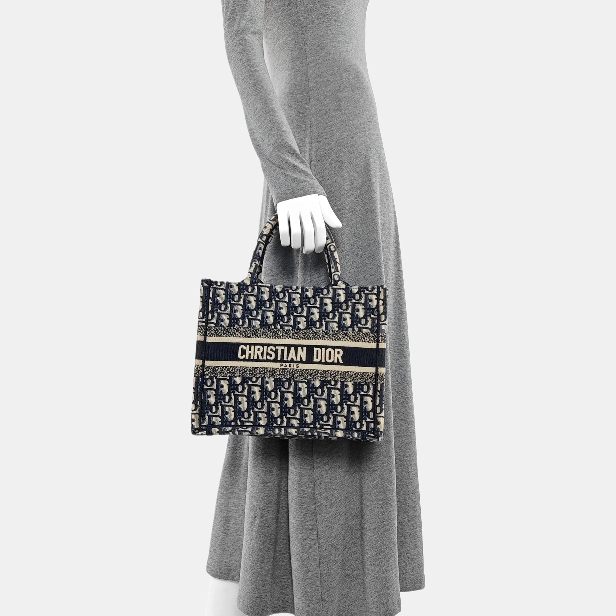 Book Tote Small Oblique Canvas Blue