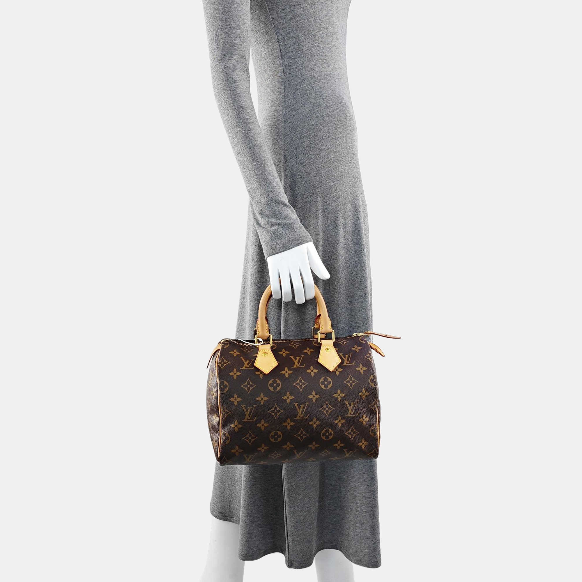 SPEEDY 25 Monogram Coated Canvas Brown