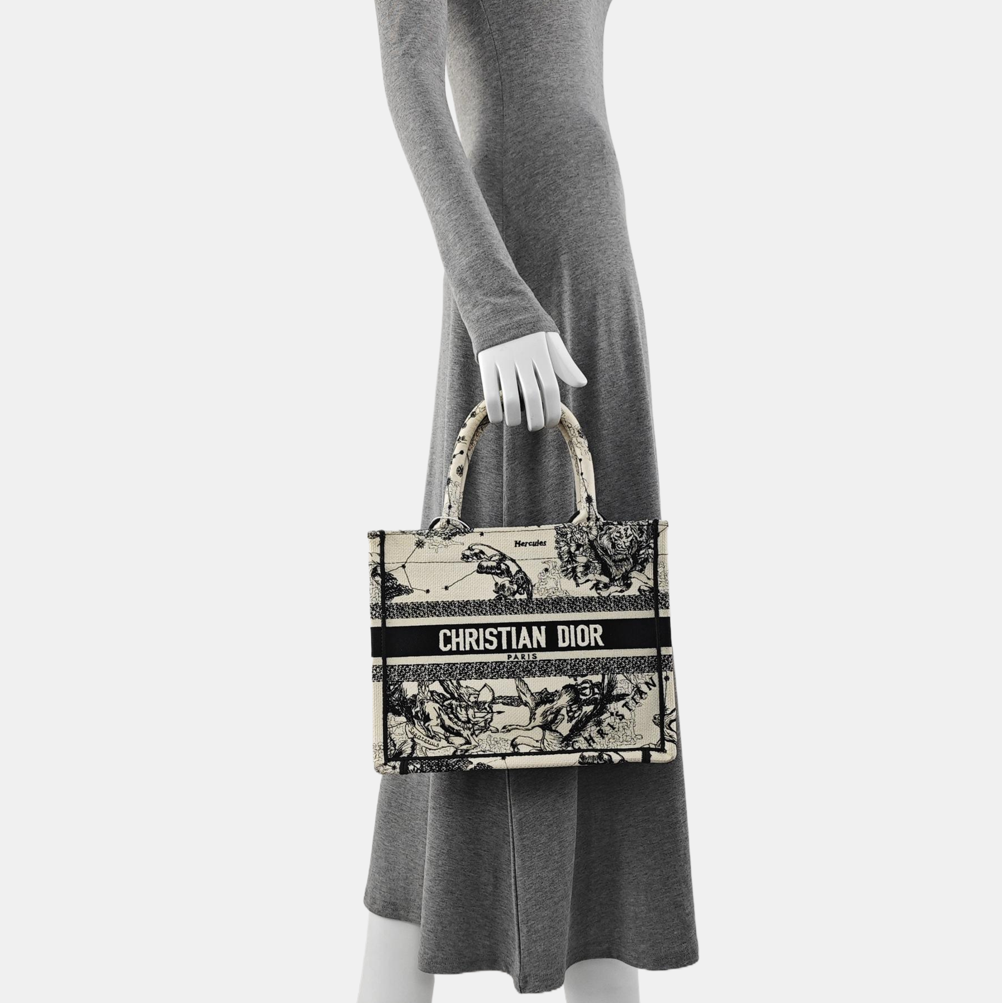 Book Tote Small Canvas White