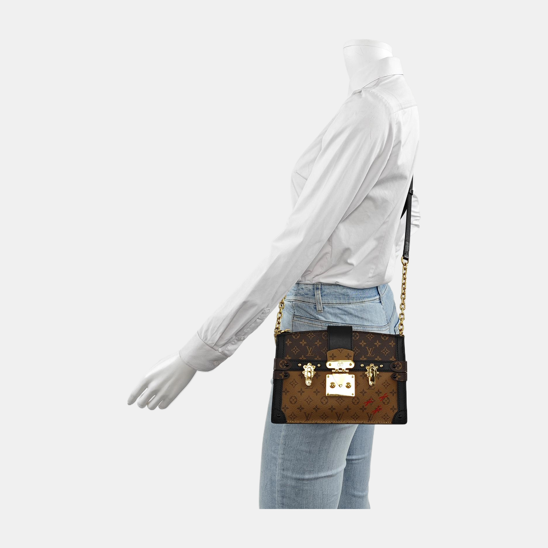 TRUNK Monogram Coated Canvas Brown
