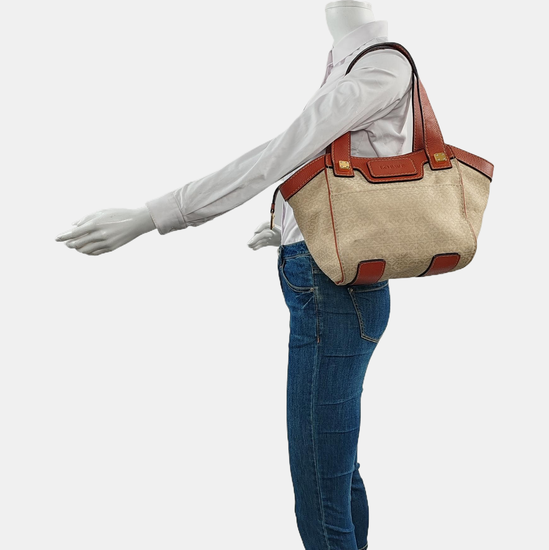 Canvas Beige