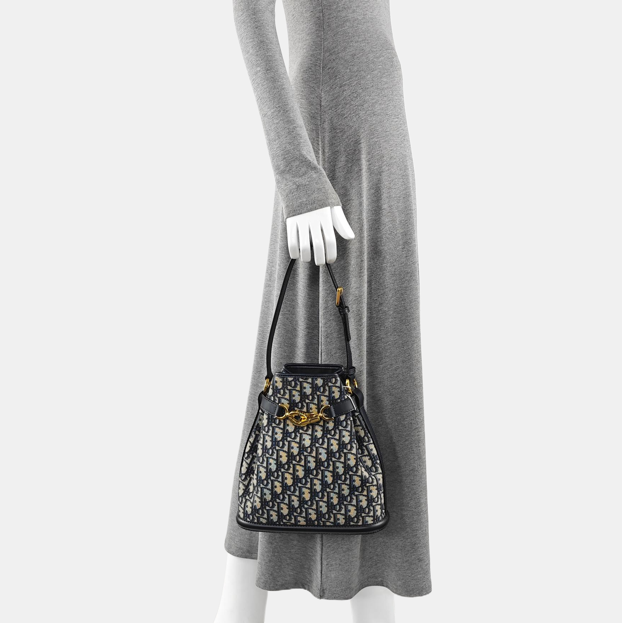 C'est Dior Medium Oblique Canvas Blue