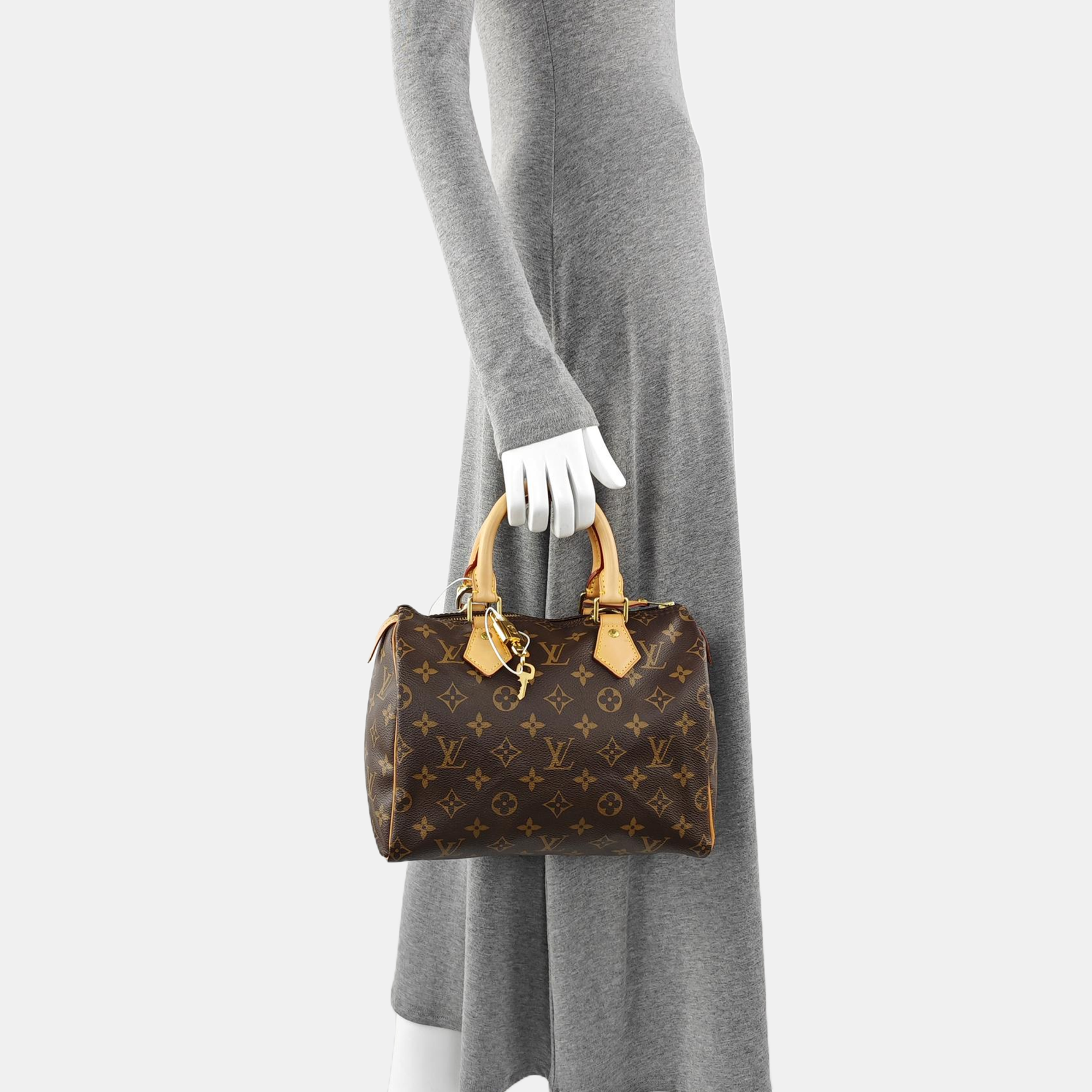 SPEEDY 25 Monogram Coated Canvas Brown