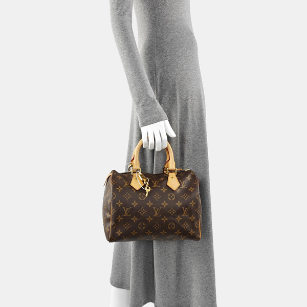 SPEEDY 25 Monogram Coated Canvas Brown