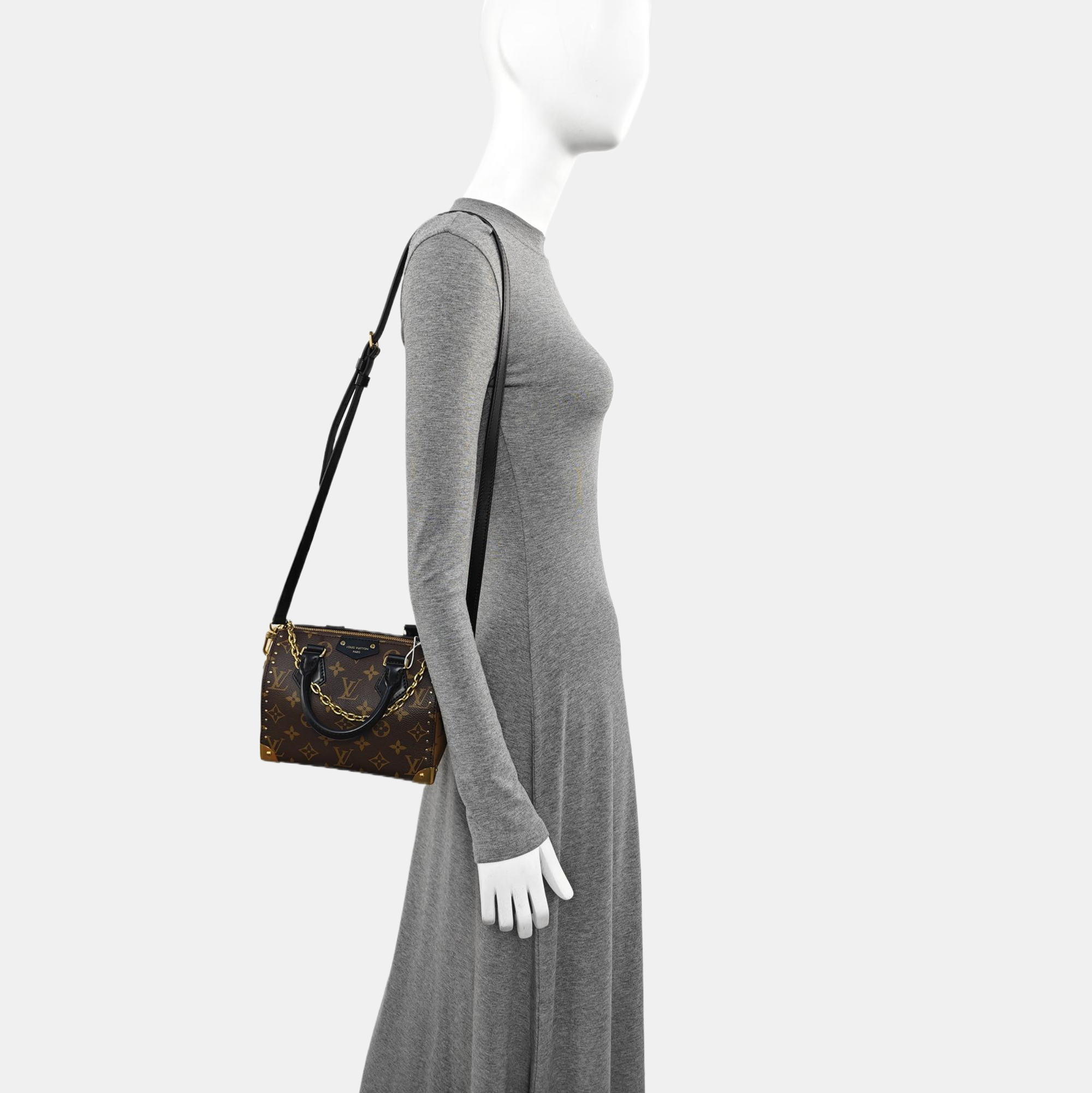 SPEEDY TRUNK 20 Monogram Coated Canvas Brown