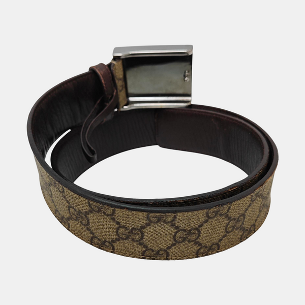 Brown Coated Canvas Belt