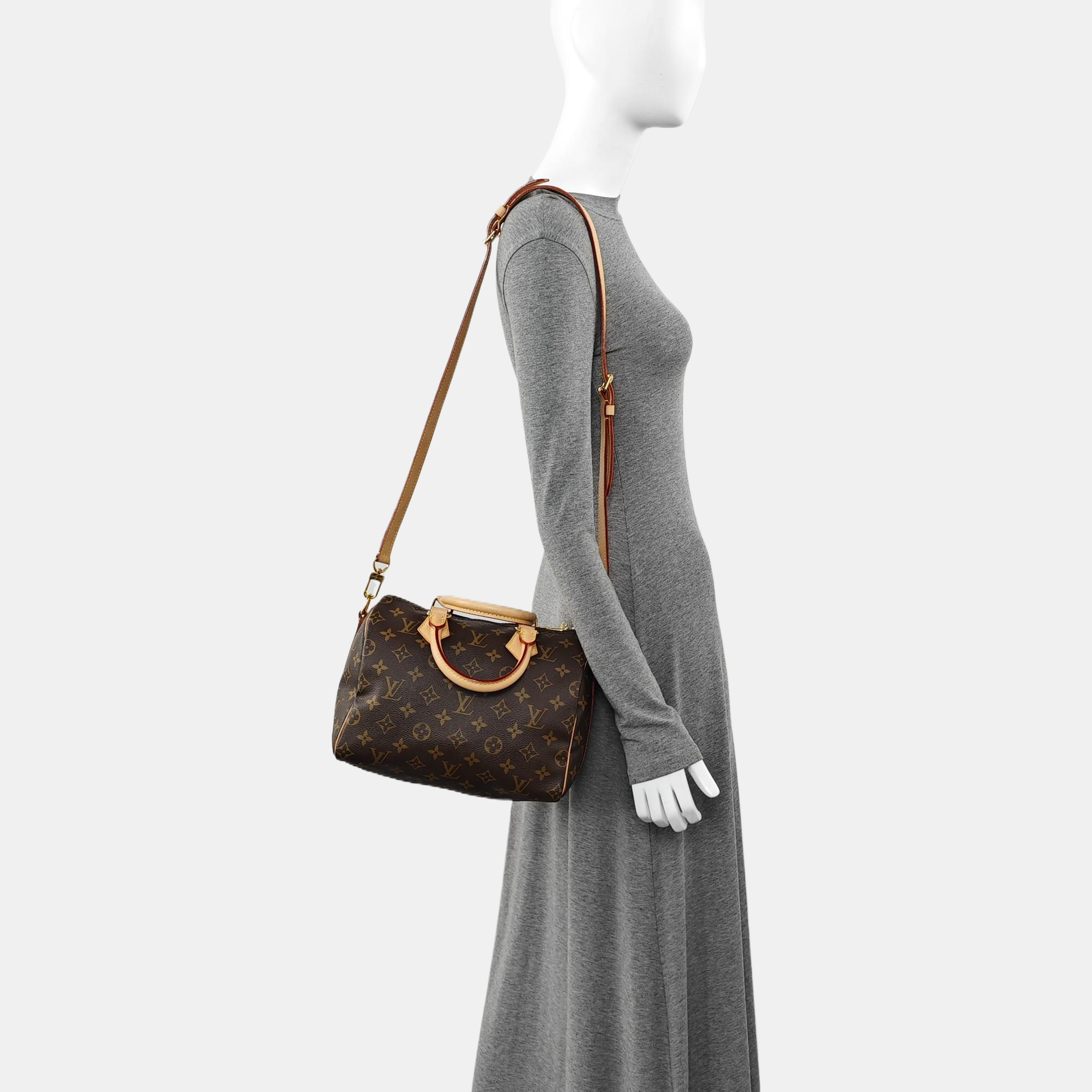 SPEEDY 25 Monogram Coated Canvas Brown