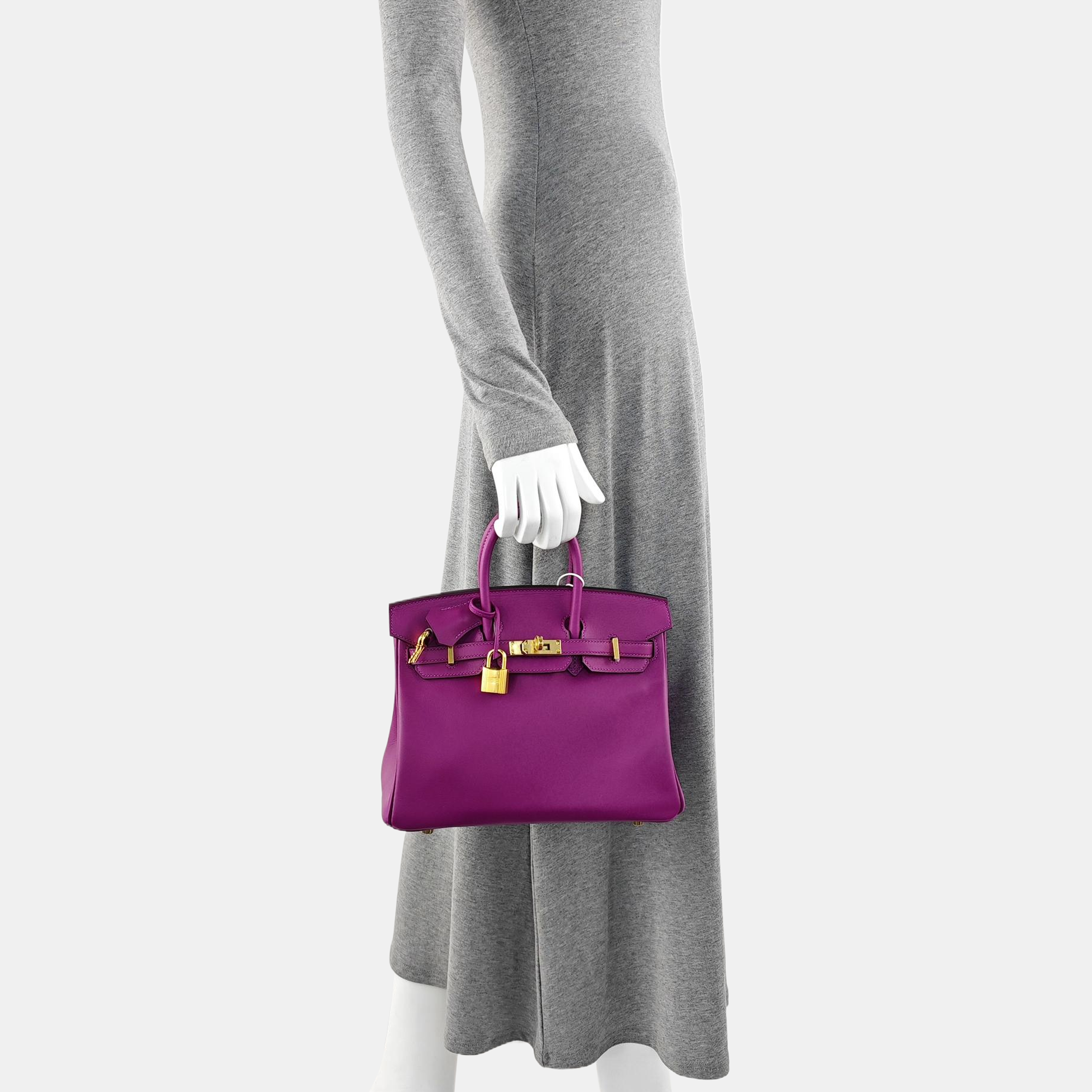 Birkin 25 Swift Purple