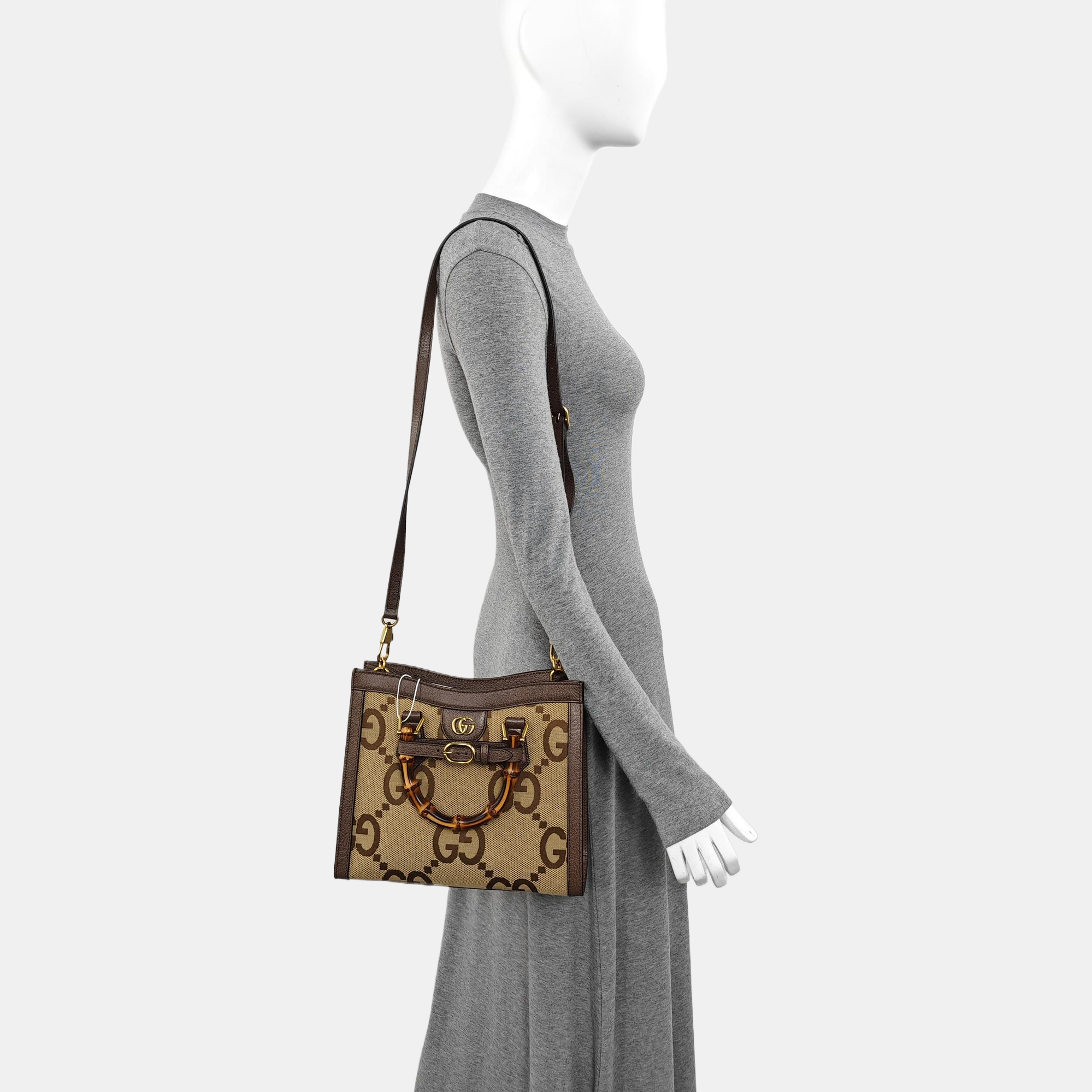 Diana Small Monogram Canvas Beige