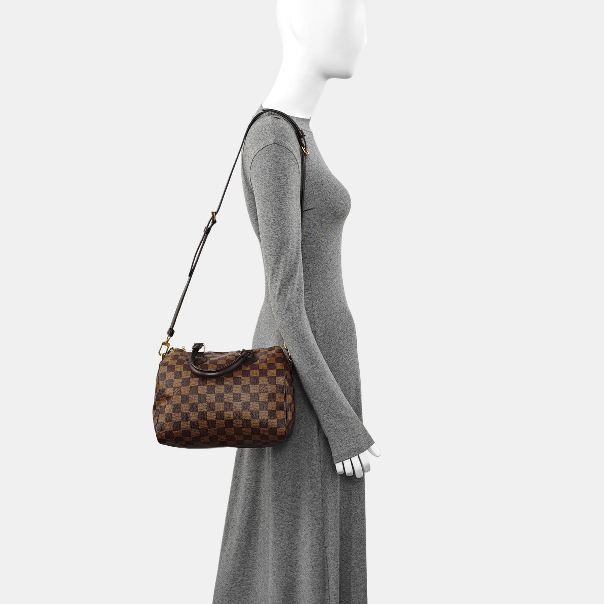 SPEEDY 25 Damier Ebene Coated Canvas Brown