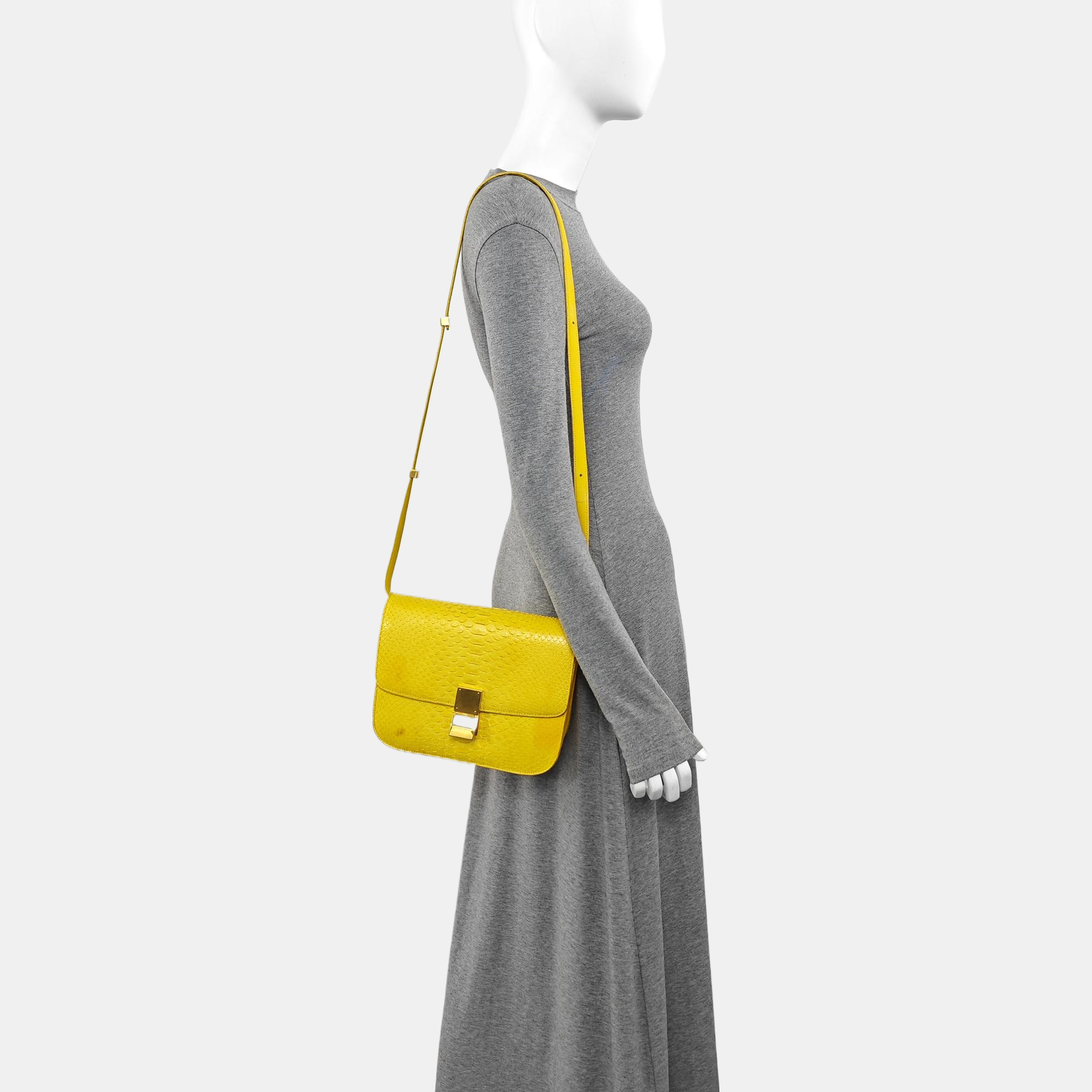 CLASSIC BOX Medium Python Yellow