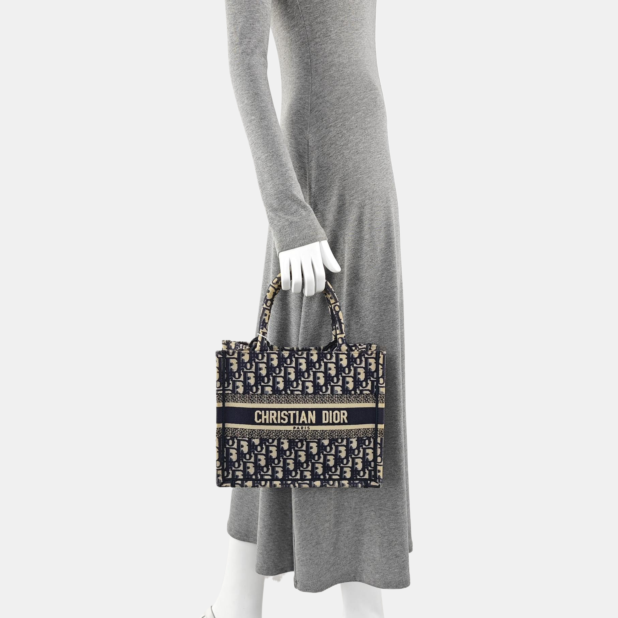 Book Tote Small Oblique Canvas Blue