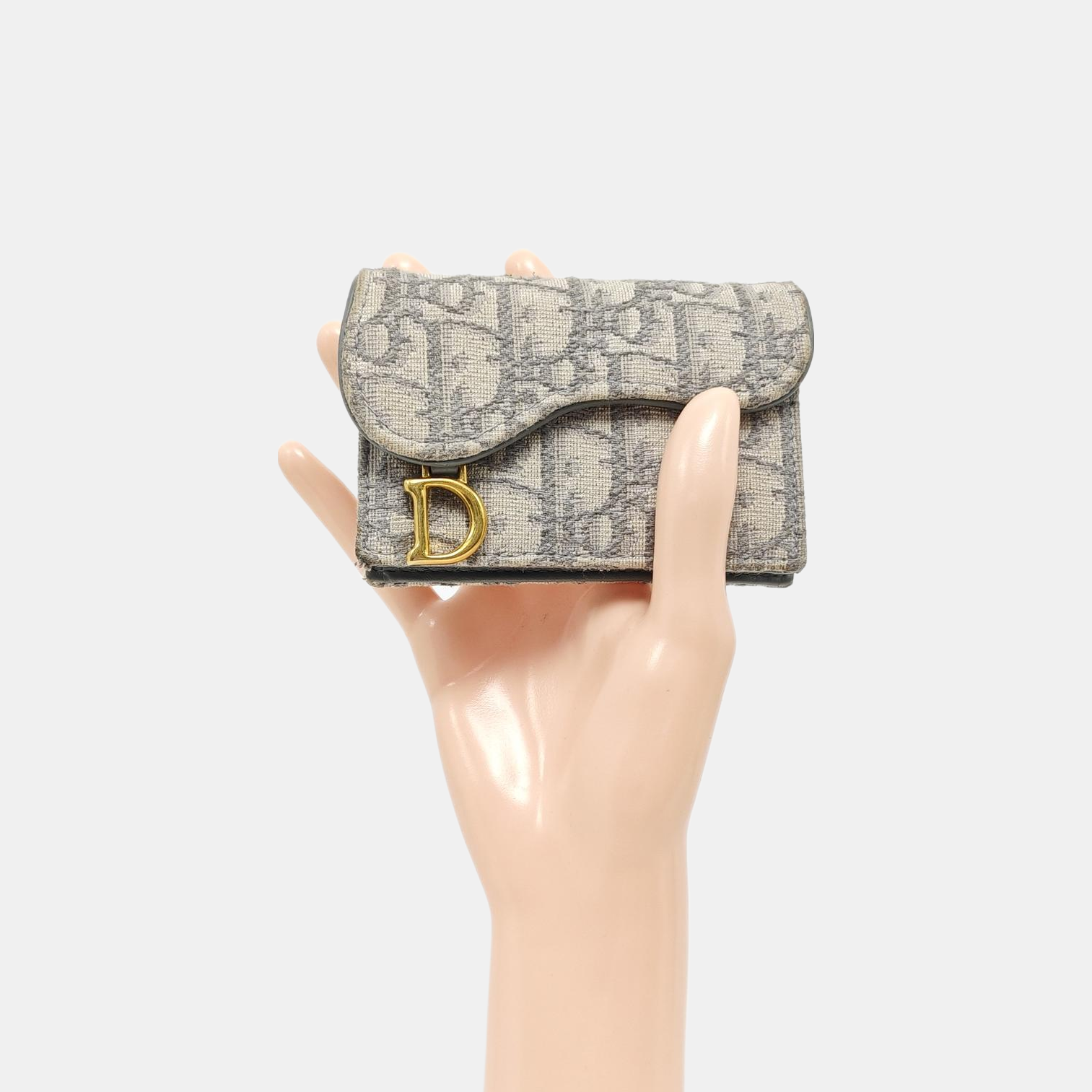 Monedero Saddle de lona Monogram gris