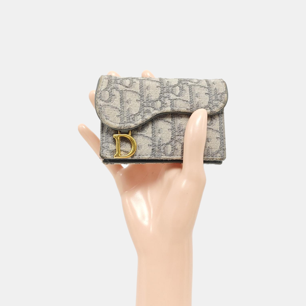 Monedero Saddle de lona Monogram gris