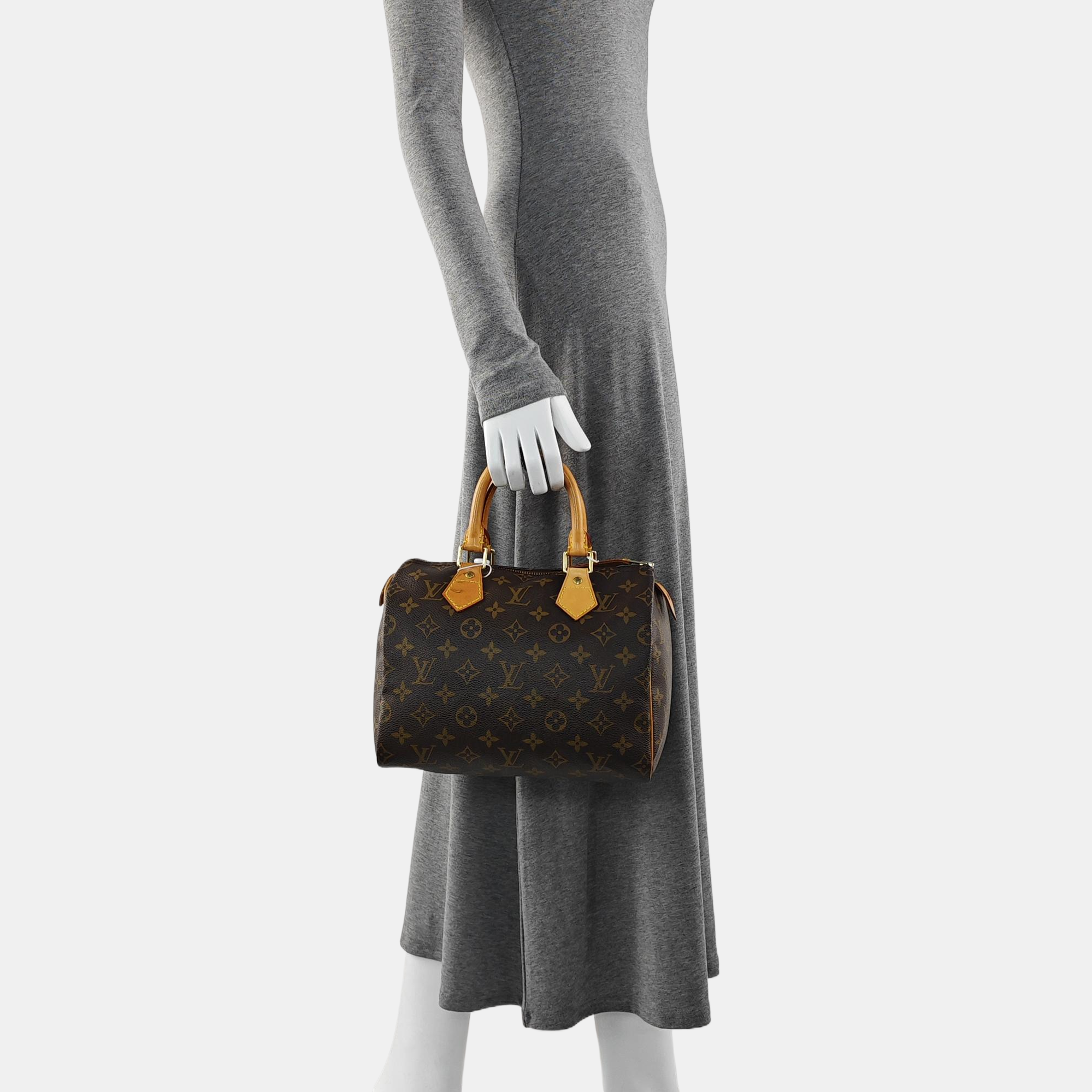 SPEEDY 25 Monogram Coated Canvas Brown