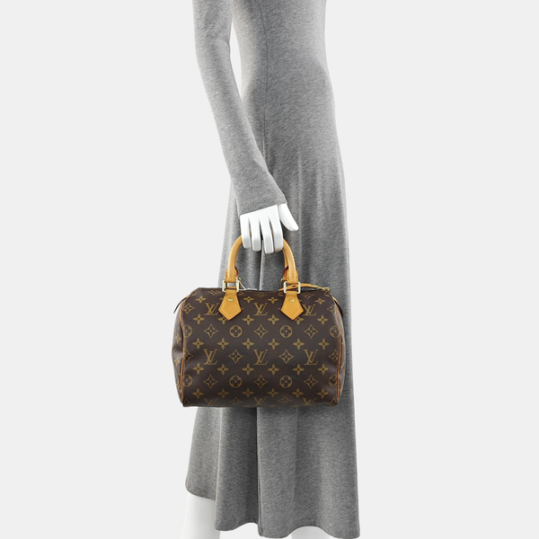 SPEEDY 25 Monogram Coated Canvas Brown