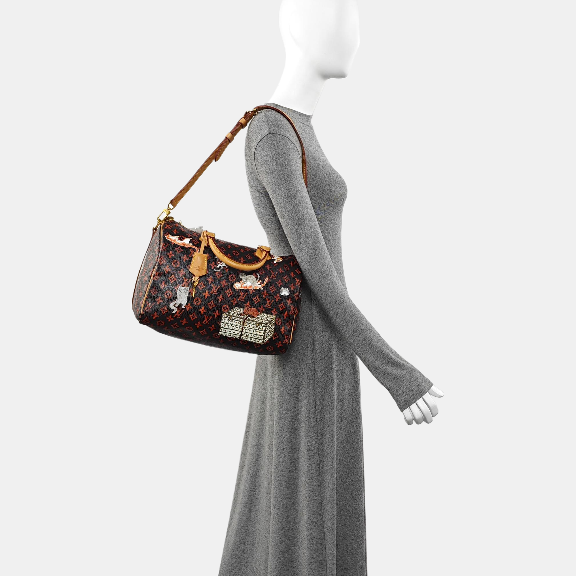SPEEDY 30 Monogram Coated Canvas Brown