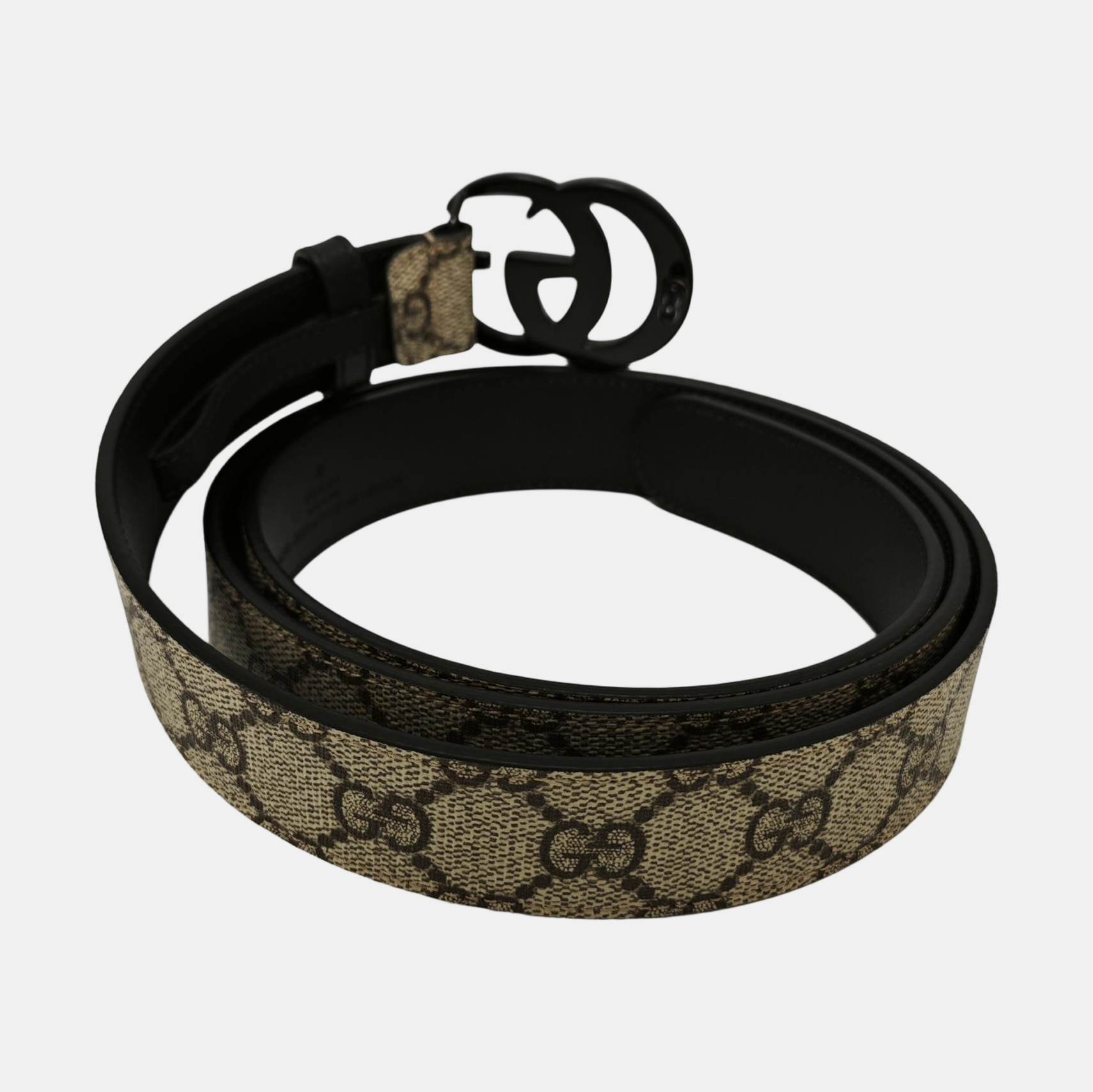 Coated Canvas Belt Beige