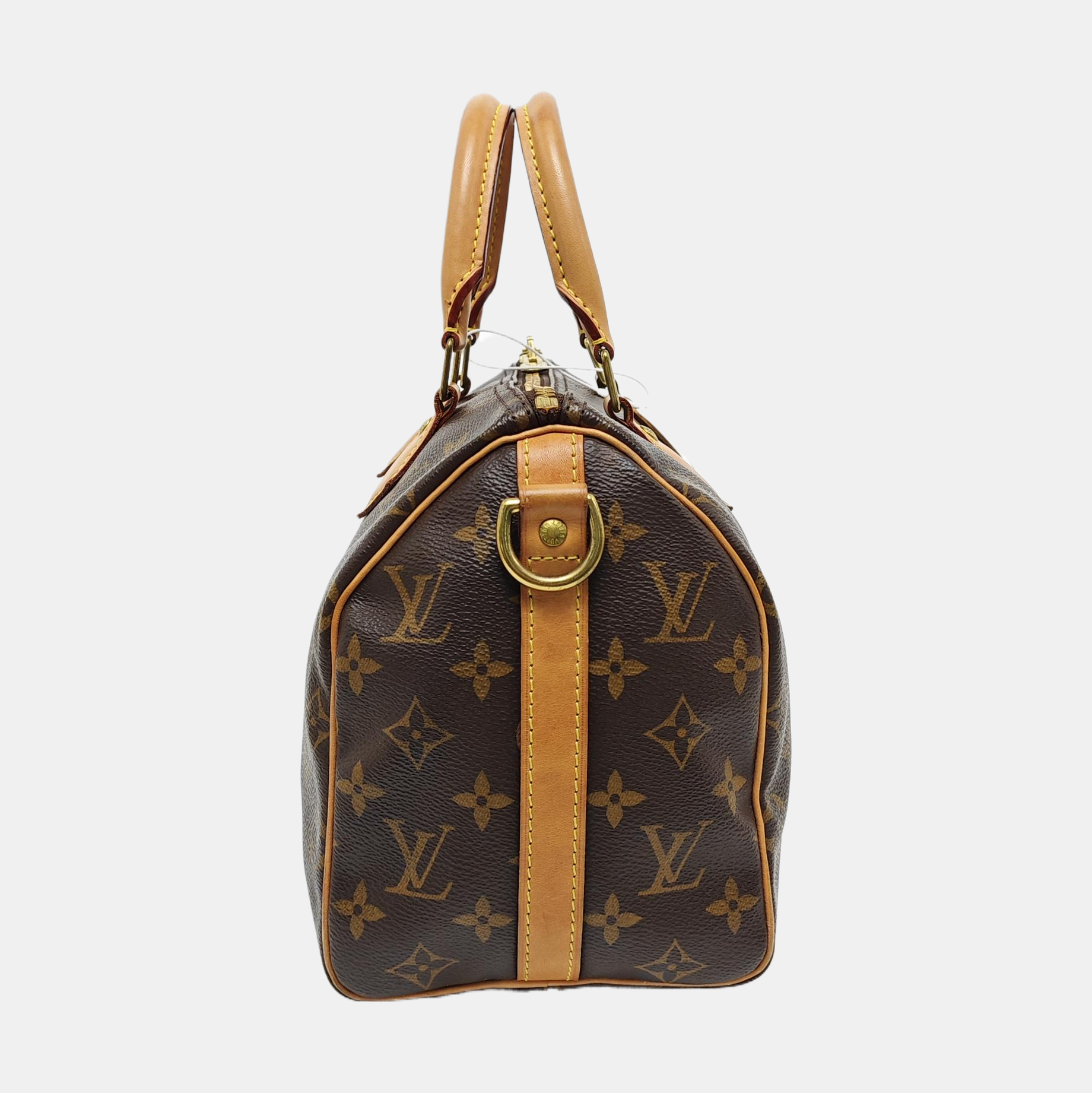 SPEEDY 25 Monogram Coated Canvas Brown