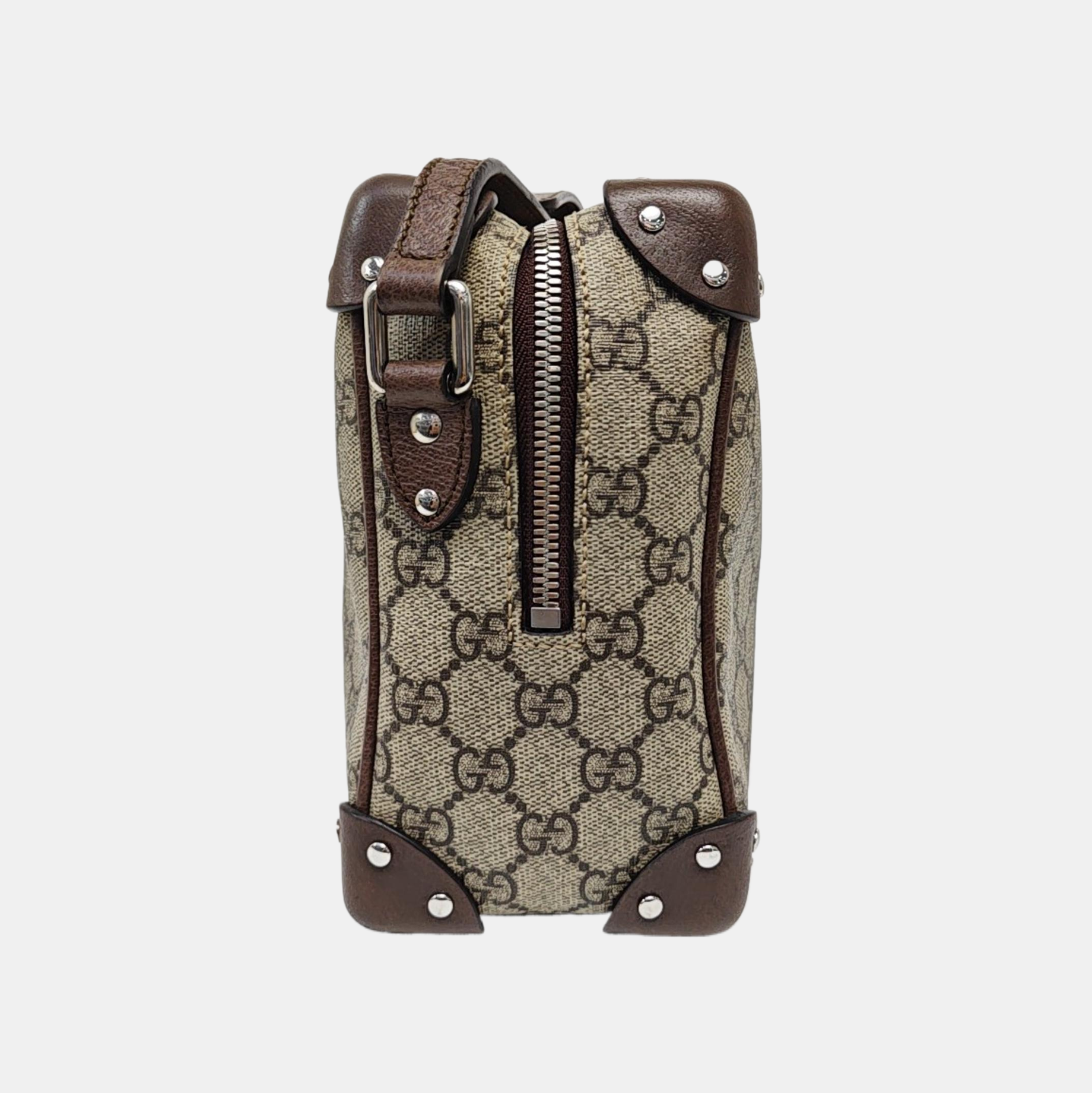 Trunk Monogram Coated Canvas Brown