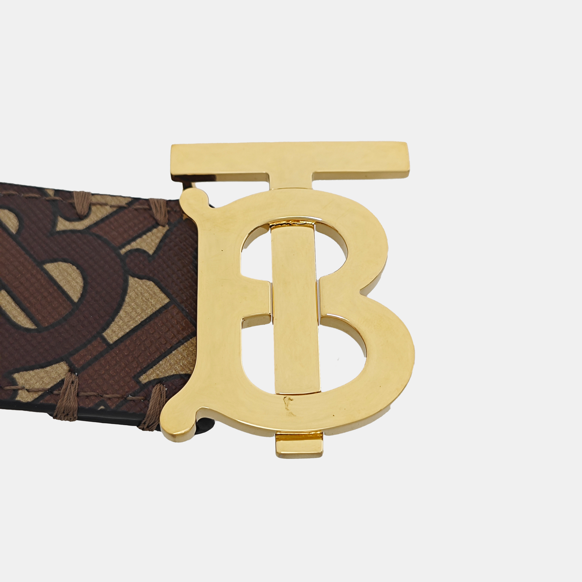 Coated Canvas Belt Brown