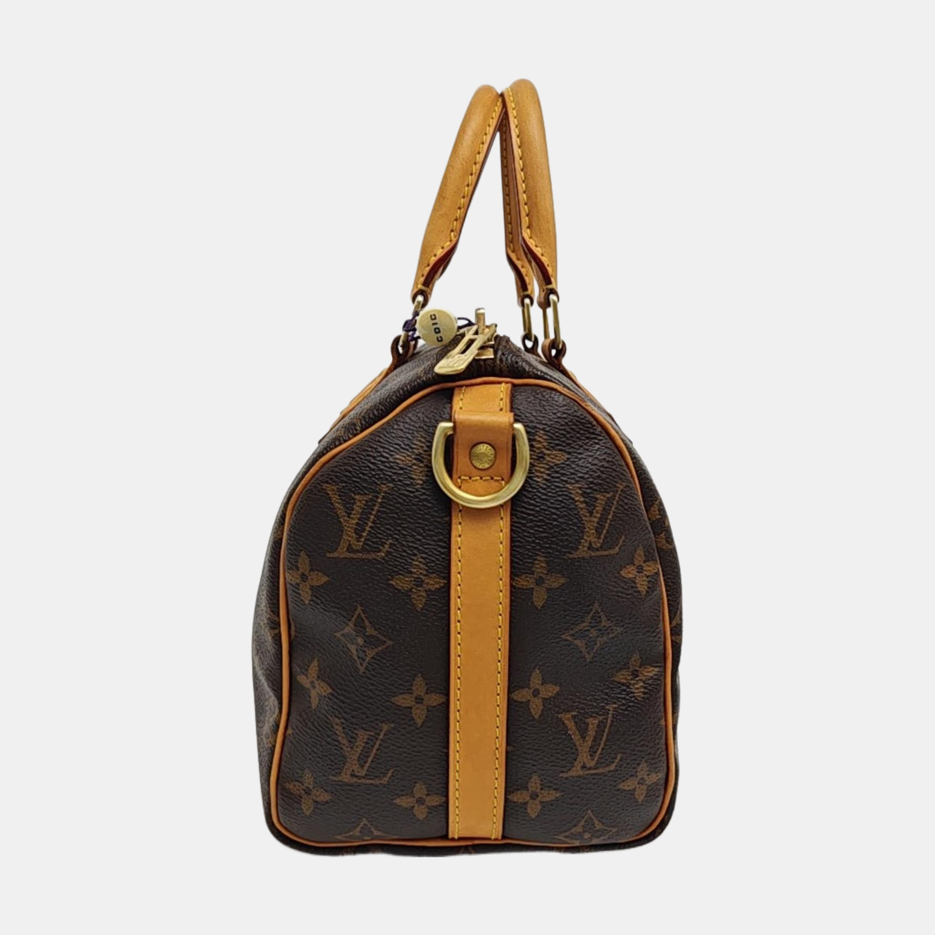 SPEEDY 25 Monogram Coated Canvas Brown