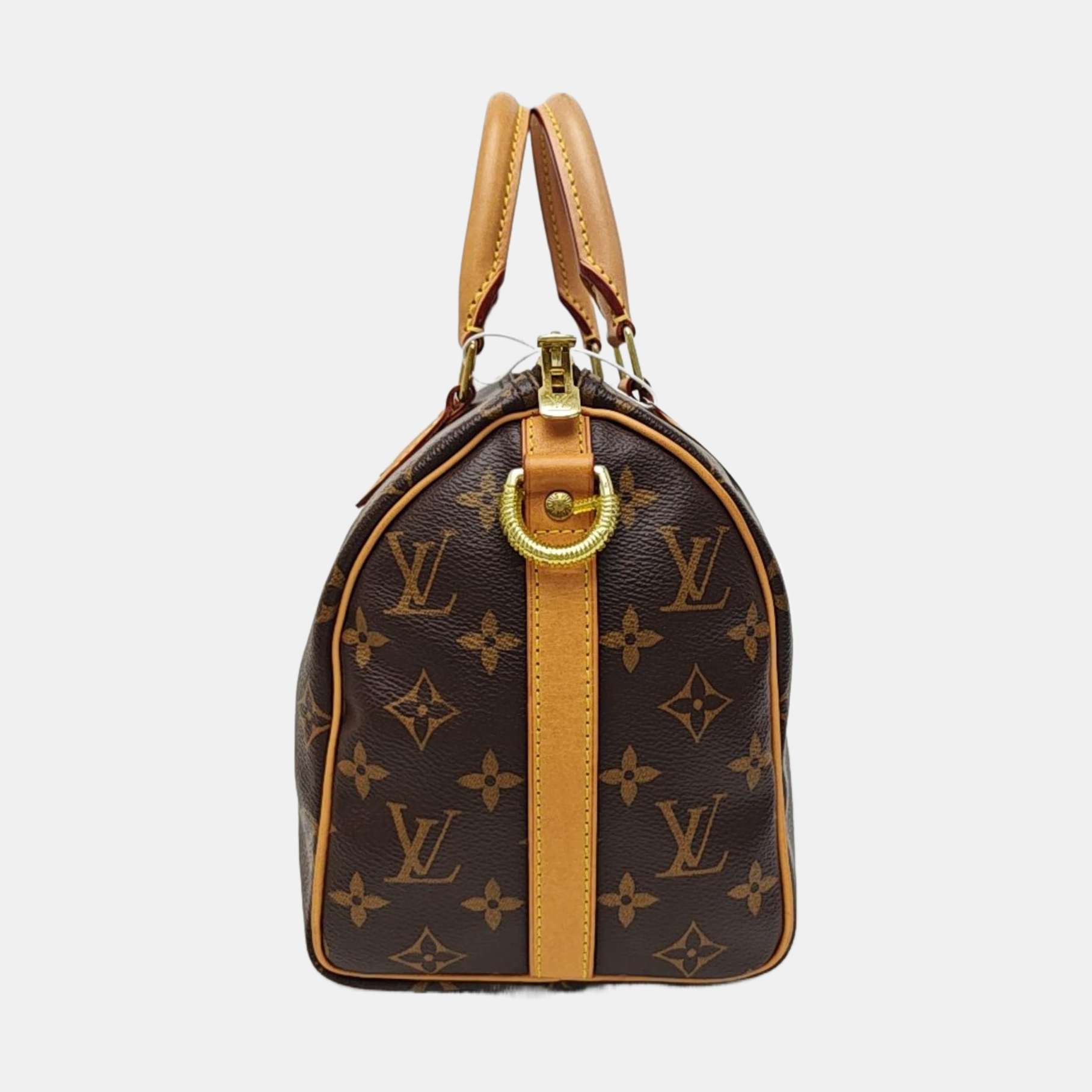 SPEEDY 25 Monogram Coated Canvas Brown