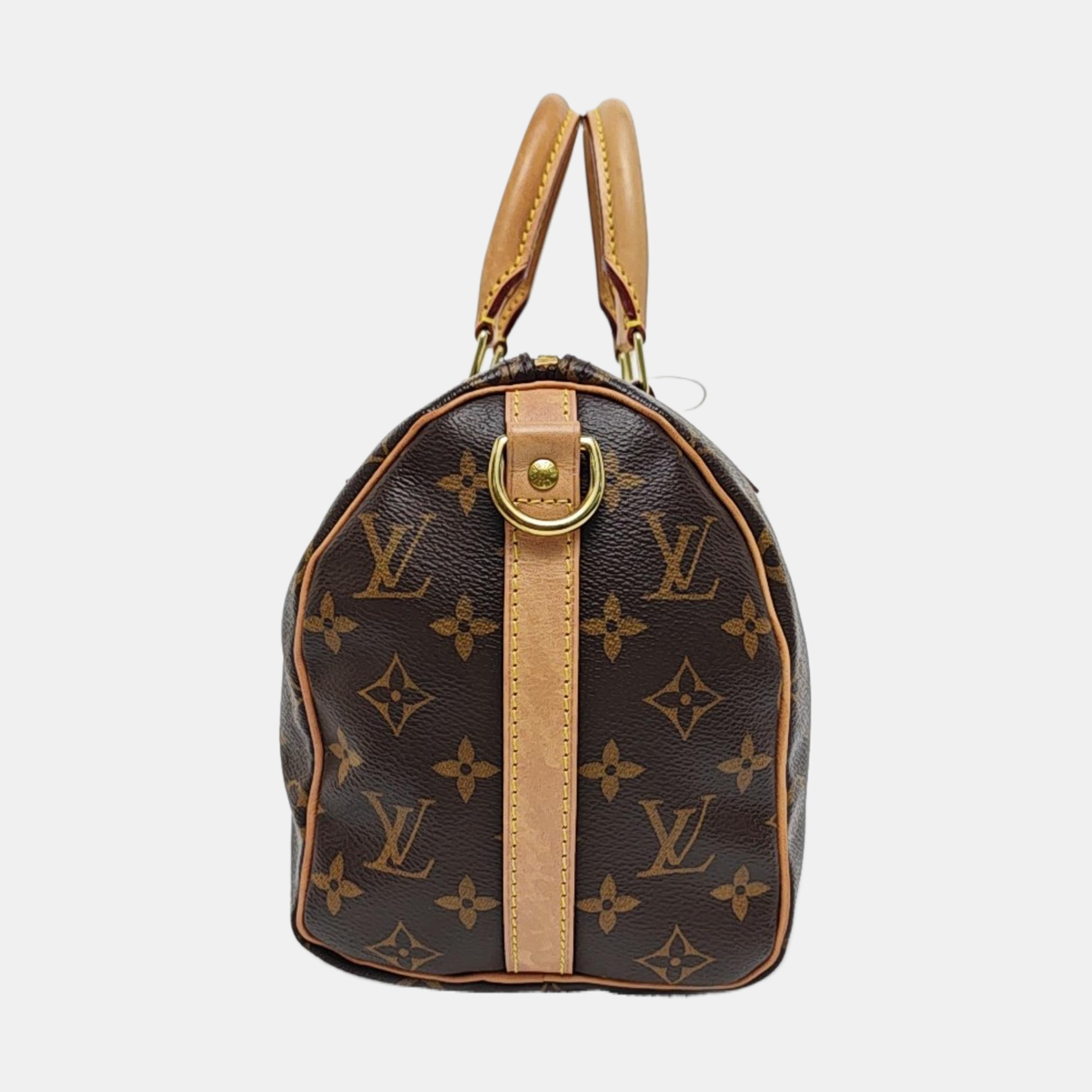 SPEEDY 25 Monogram Coated Canvas Brown