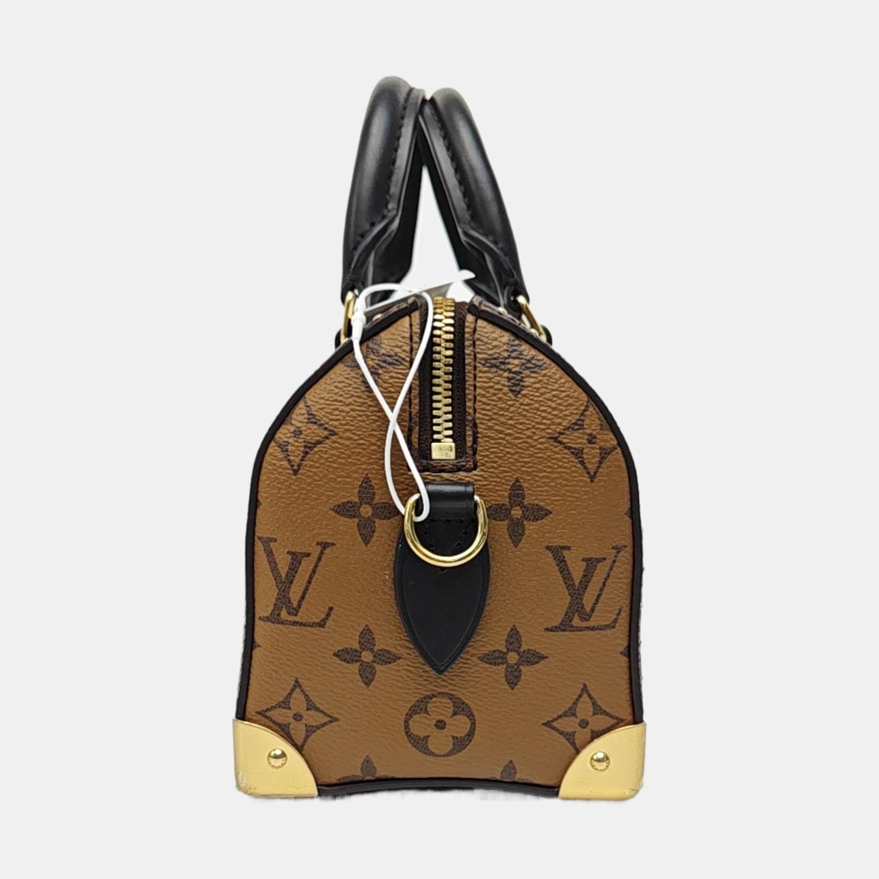 SPEEDY TRUNK 20 Monogram Coated Canvas Brown